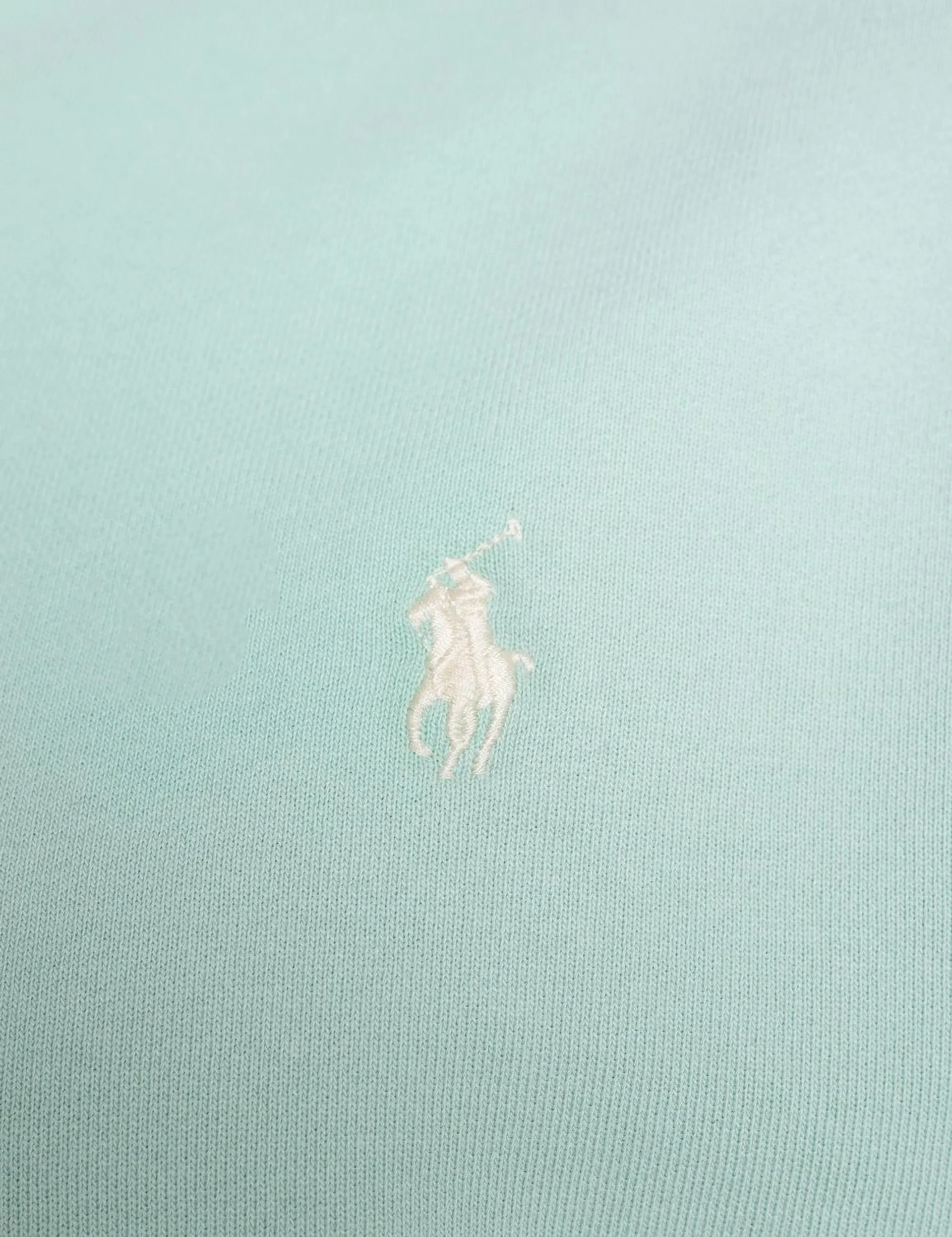 Long Sleeve Crew Neck Sweatshirt Celadon