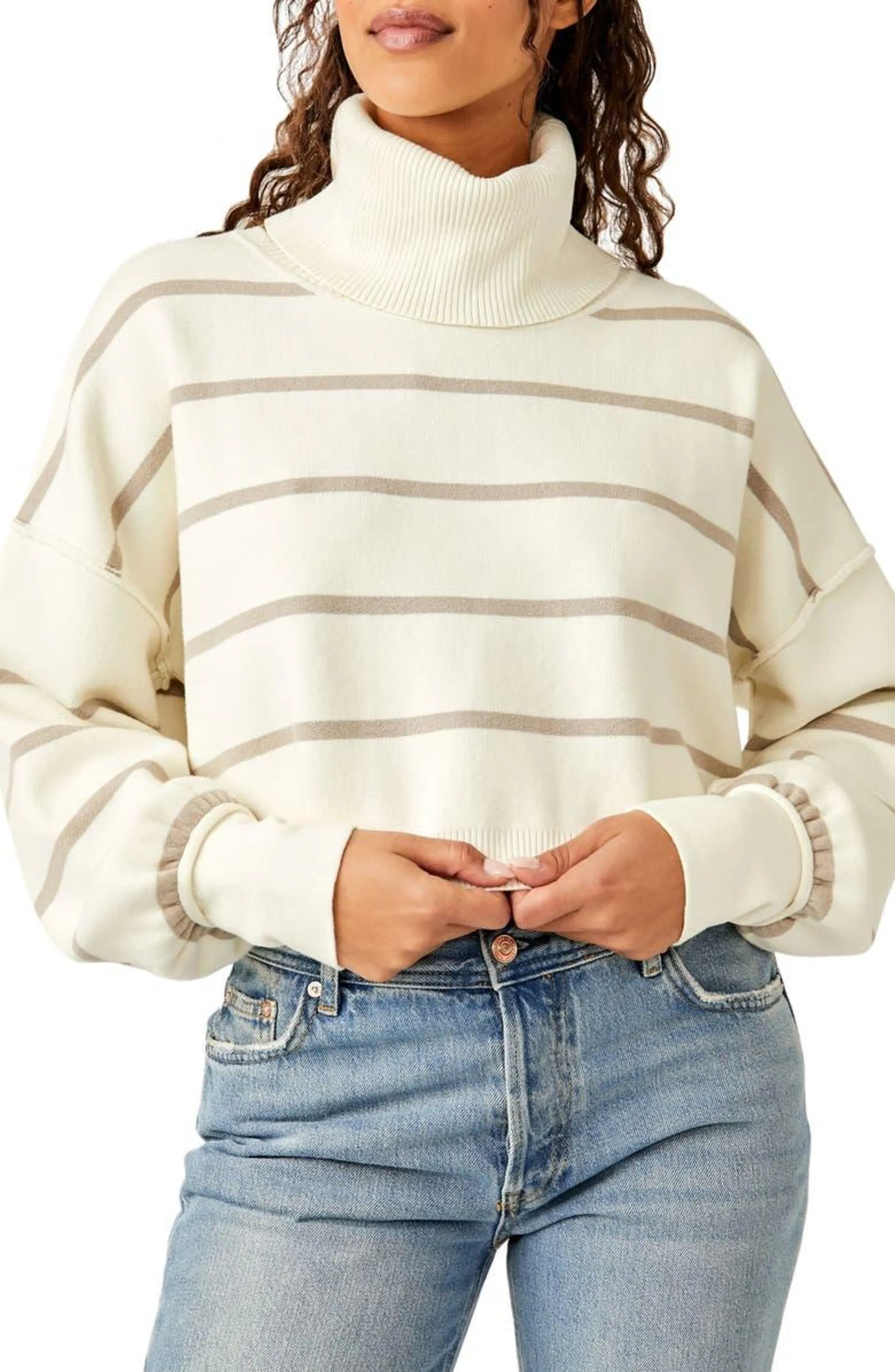 Paulie Stripe Turtleneck Sweater