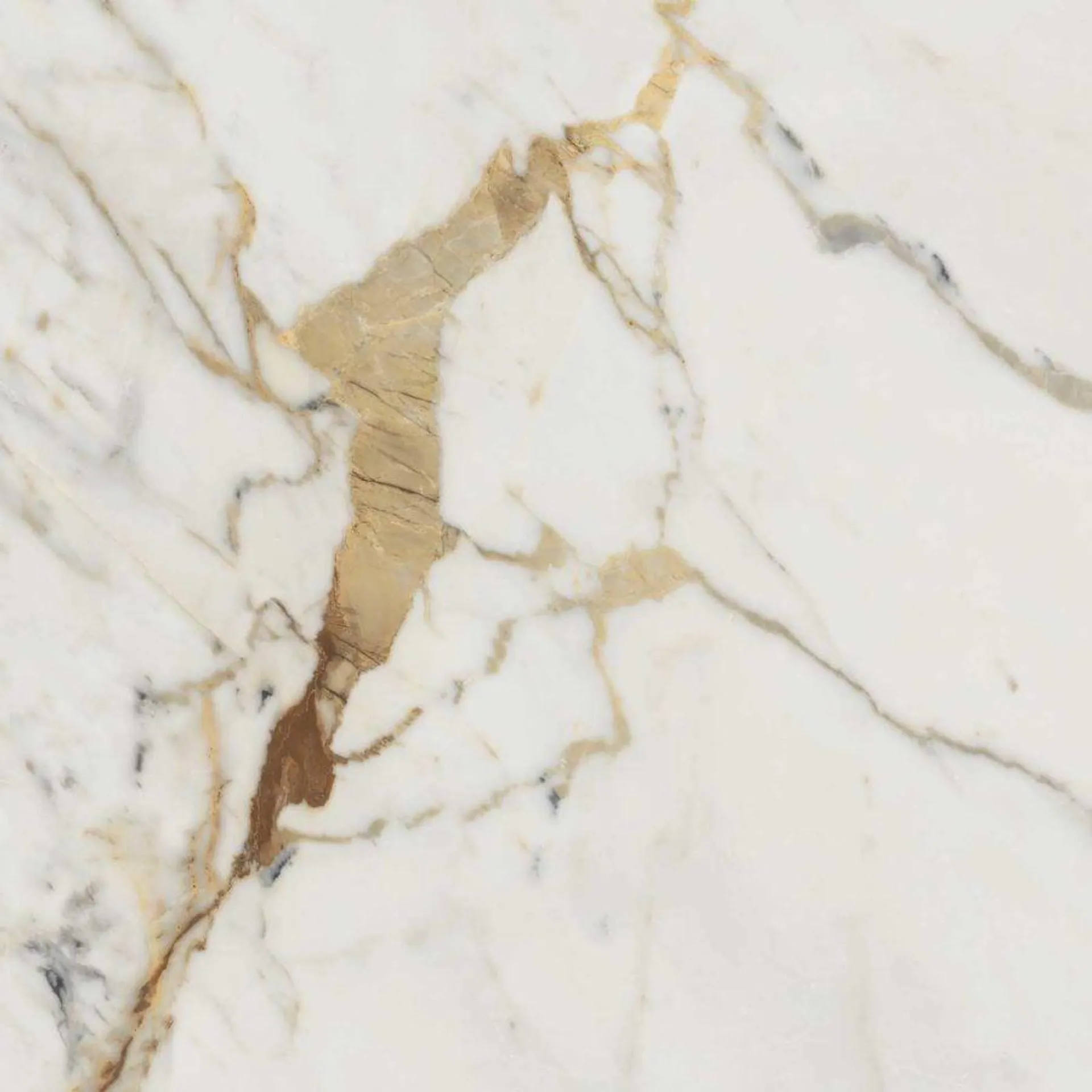 Allmarble Golden White 60x60cm