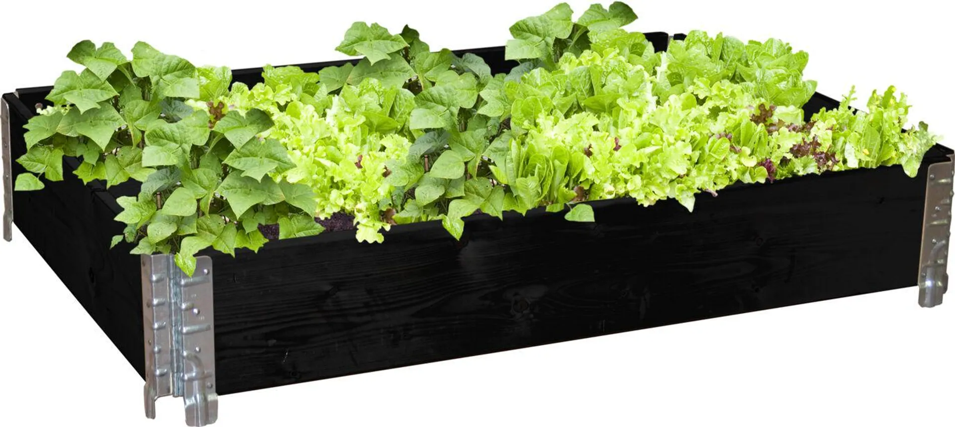 Plantekasse