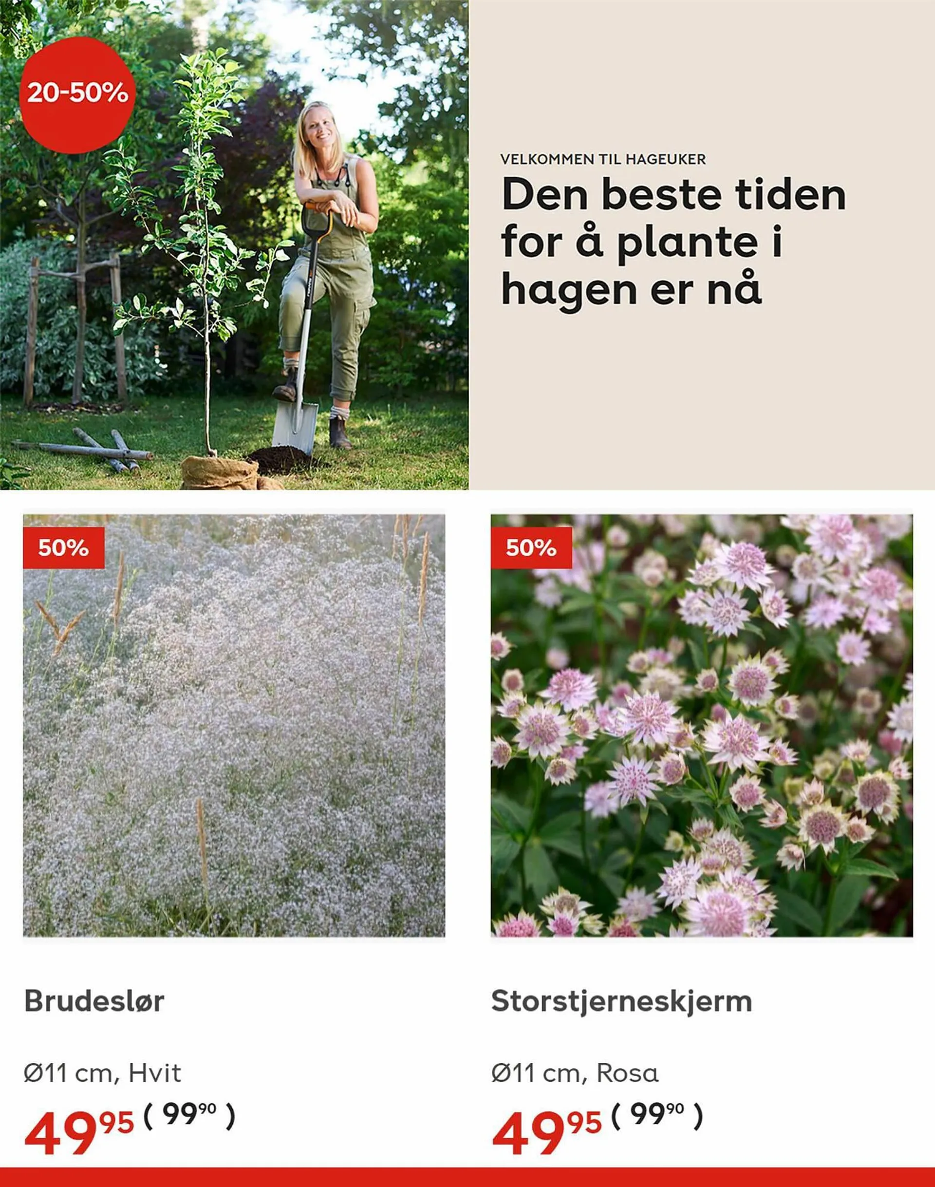 Plantasjen Kundeavis fra 31. august til 13. september 2023 - kundeavisside 4