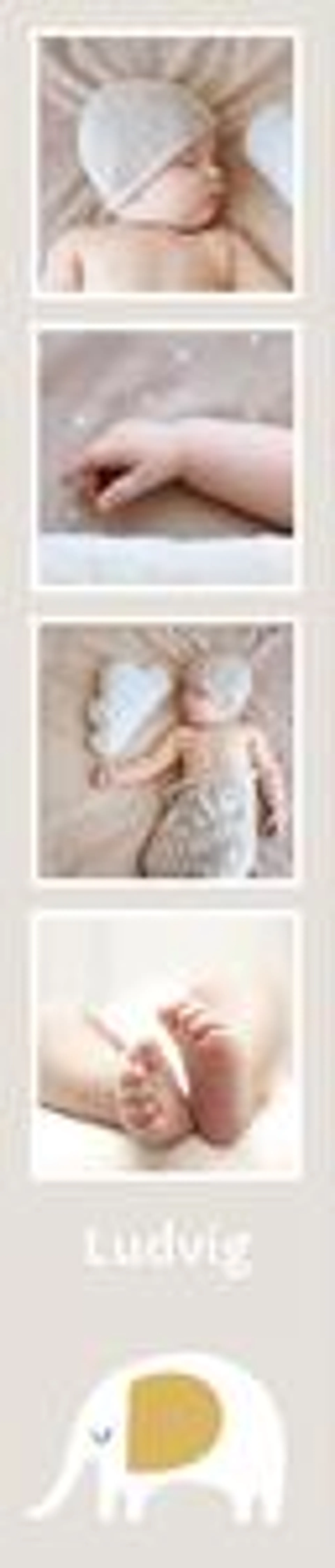 Bilderemse | Beige elefant