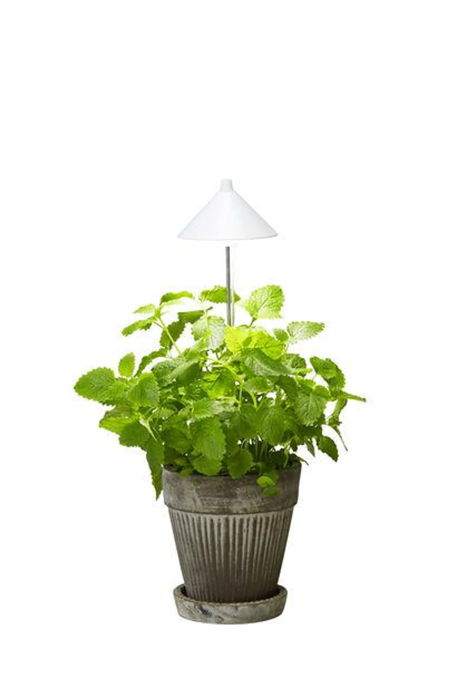 Plantebelysning Sunlite for potte