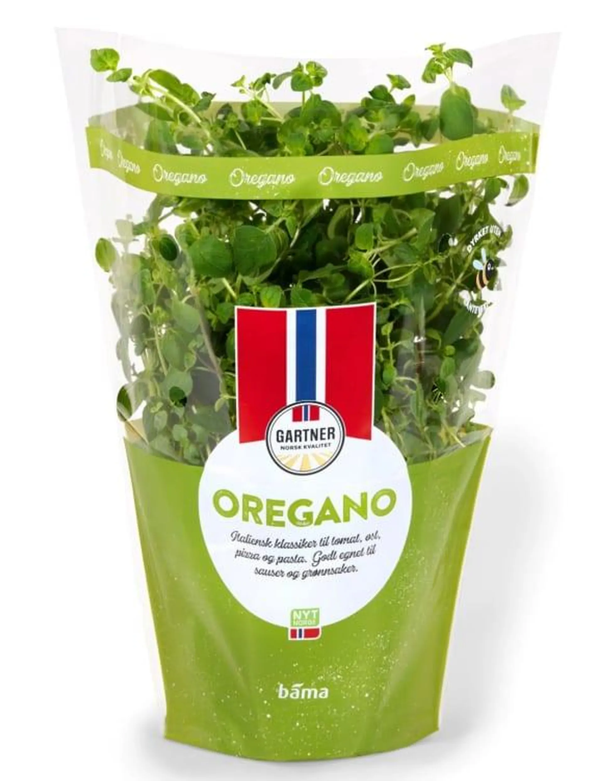 Oregano