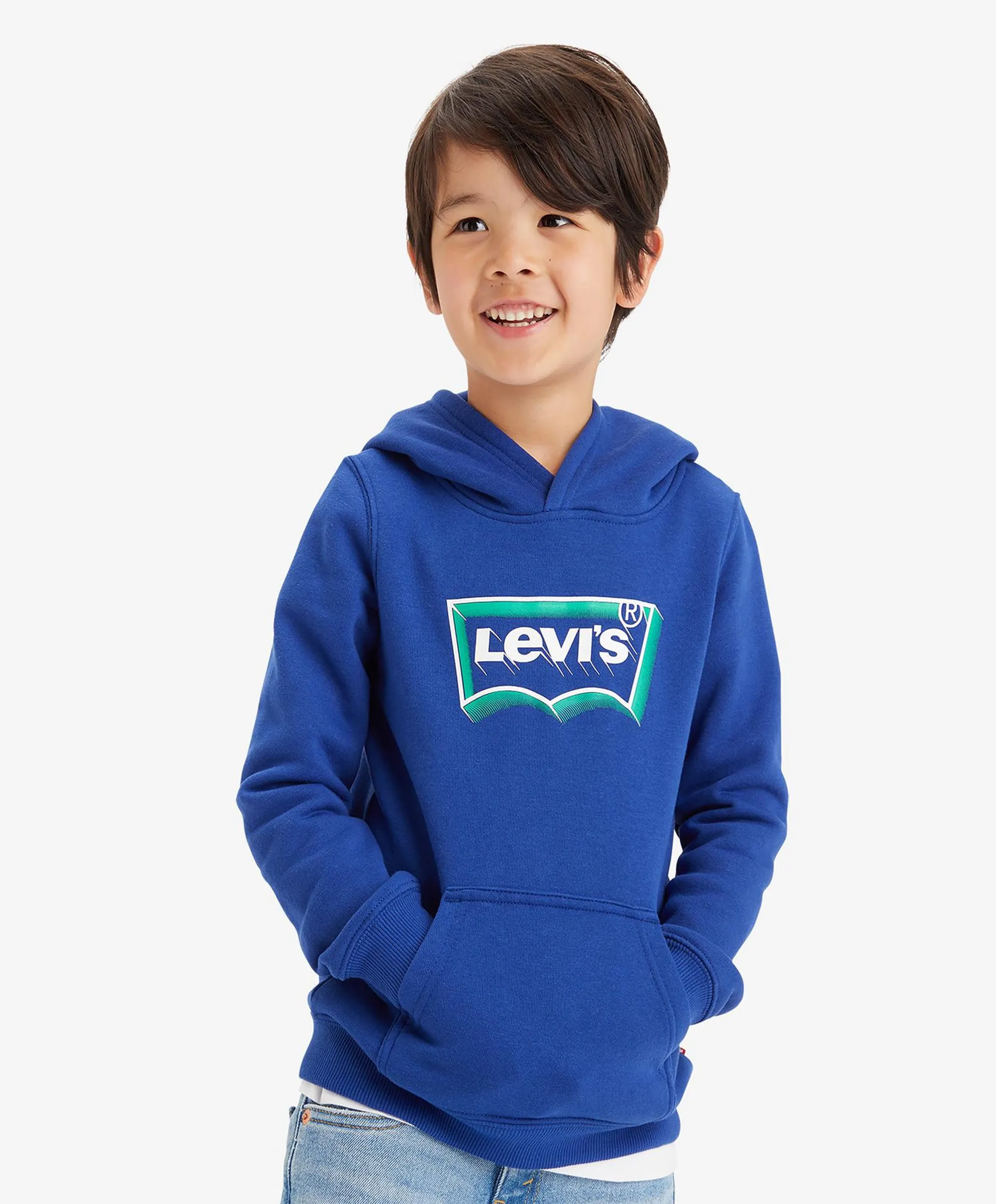 Levi's Batwing Fill Hoodie