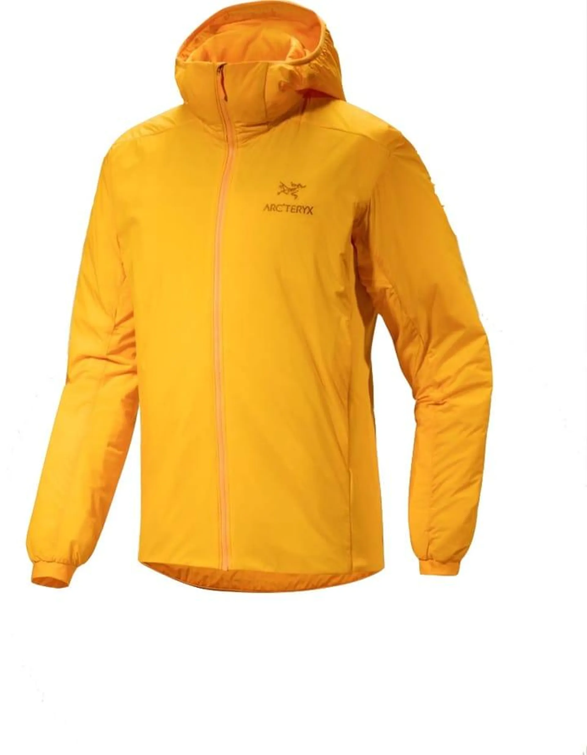 Arc'teryx Men's Atom Hoody Edziza