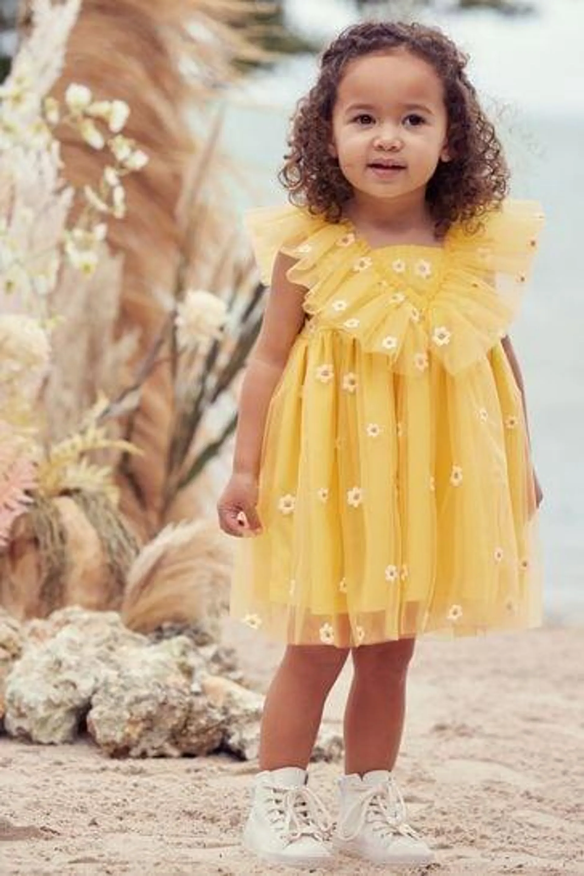 Ruffle Mesh Dress (3mths-10yrs)