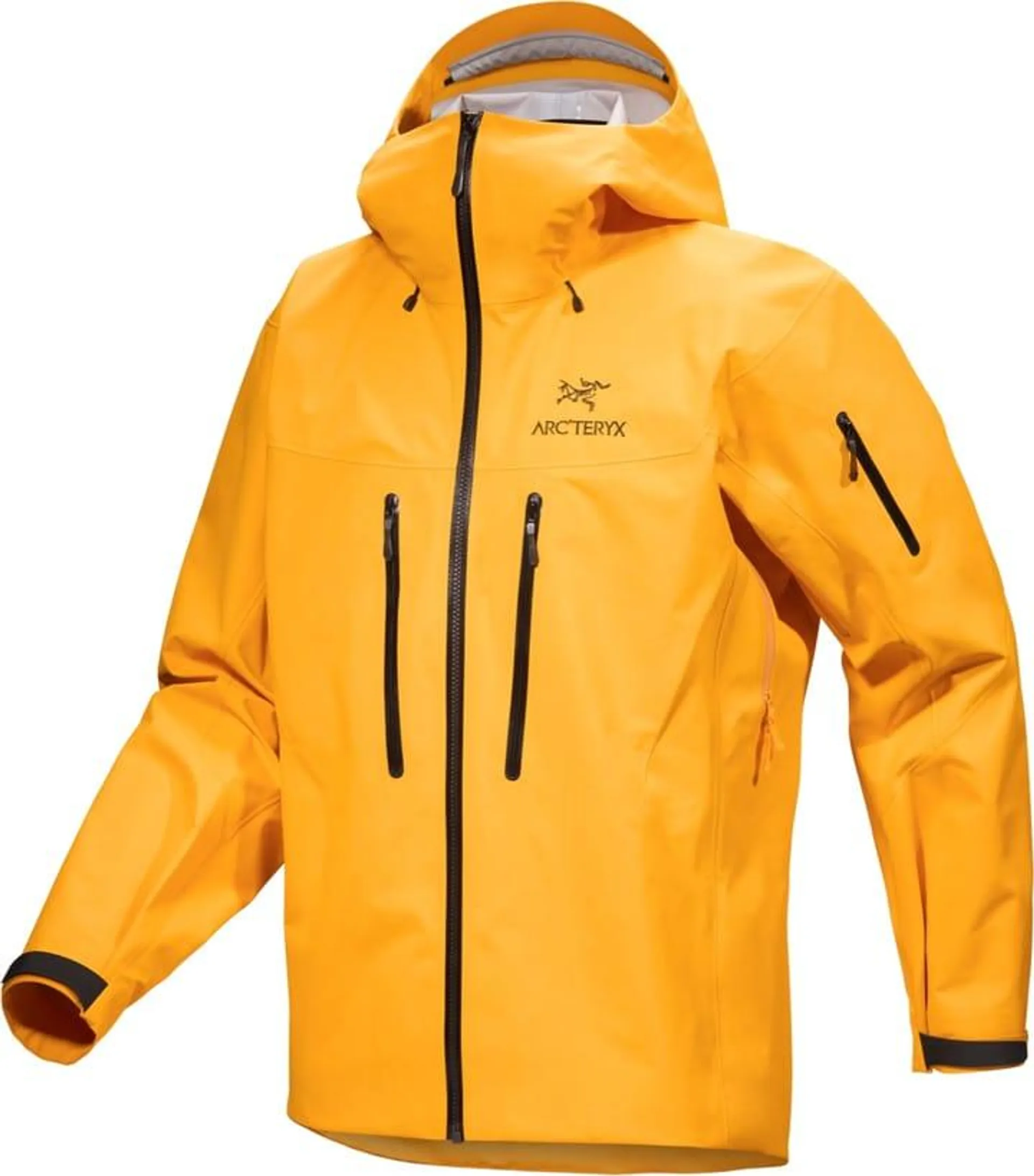 Arc'teryx Men's Alpha SV Jacket Edziza