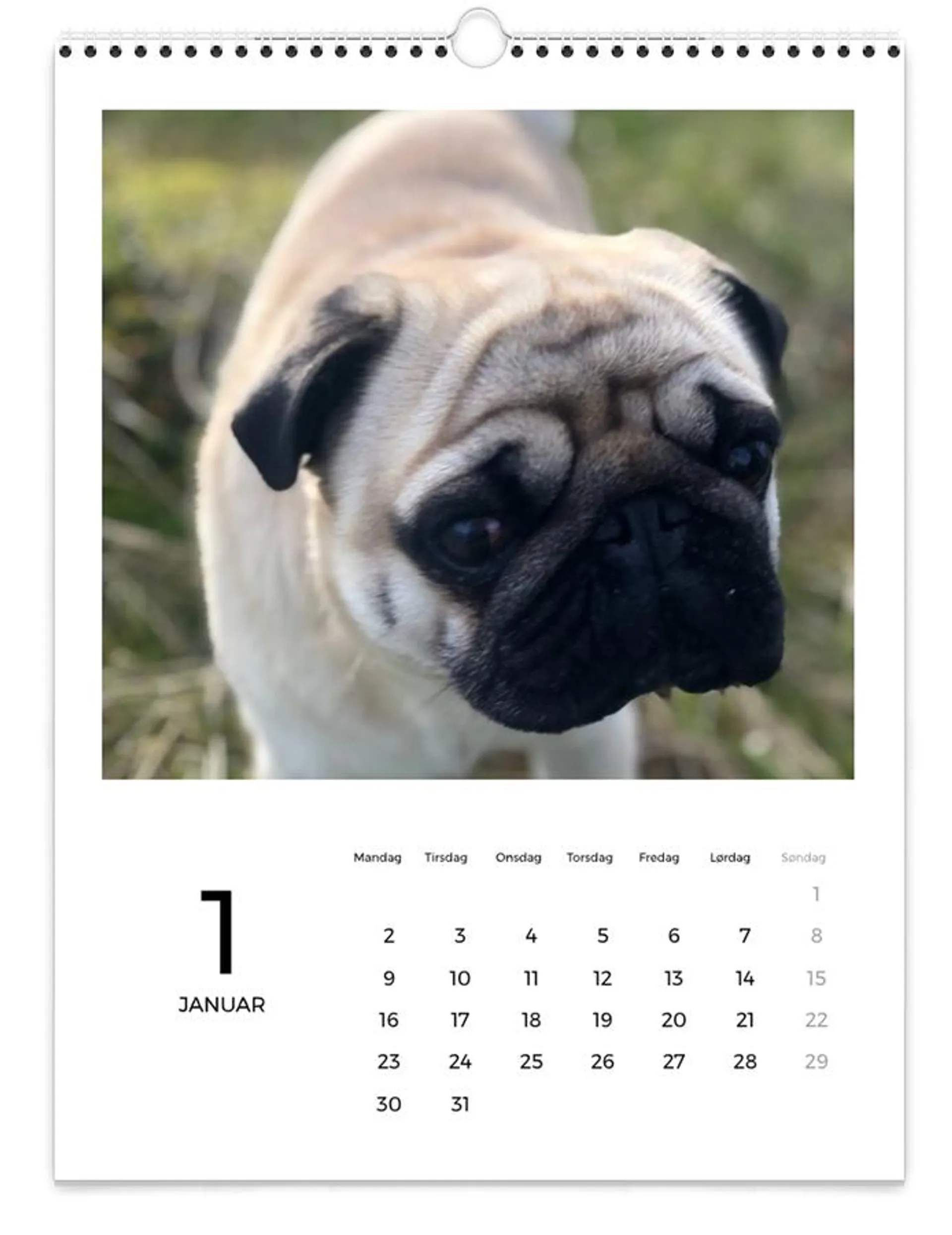 Veggkalender | Stor (A3) | Tall