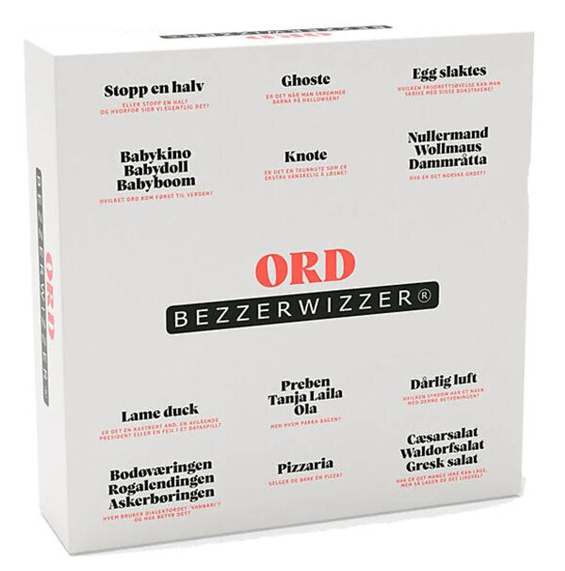 Bezzerwizzer ord norsk