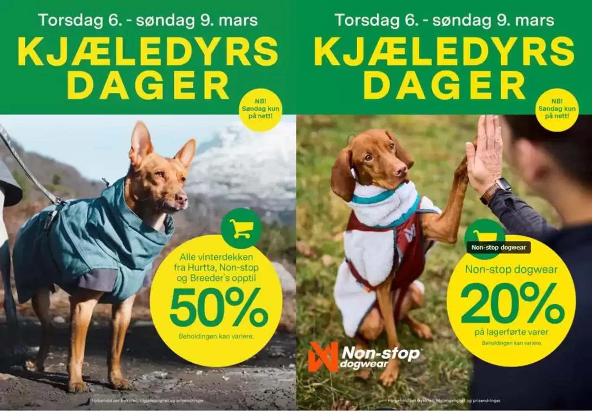 Kjæledyrsdager fra 4. mars til 16. mars 2025 - kundeavisside 7
