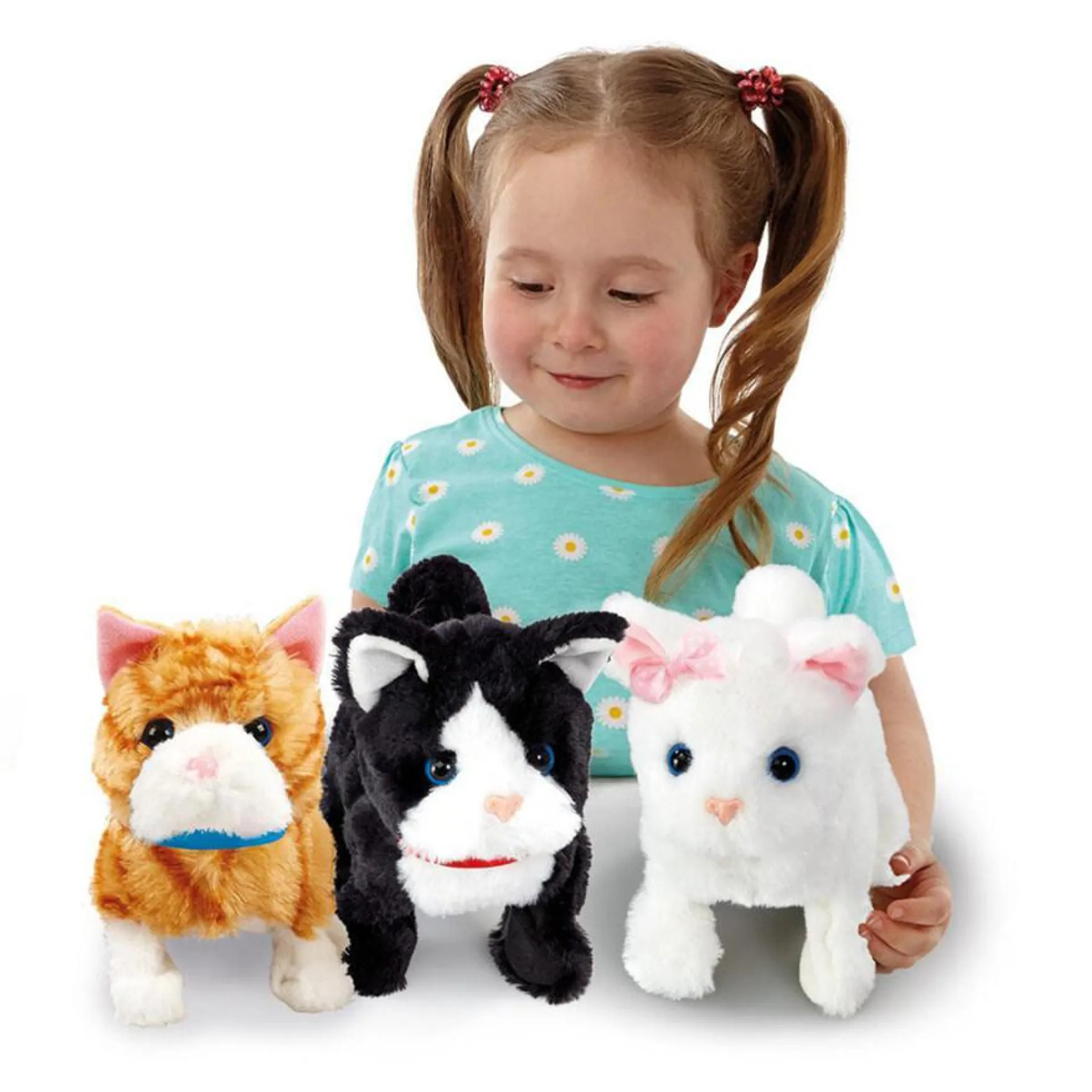 Happy Pets Pretty Little Kitty