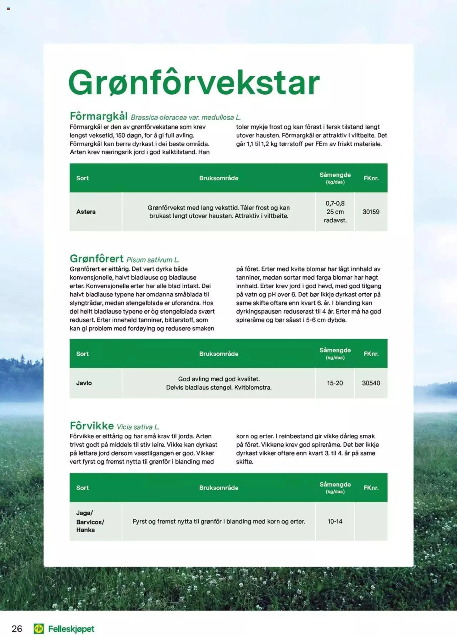 Felleskjøpet - Grovfôr fra 1. januar til 31. desember 2025 - kundeavisside 26