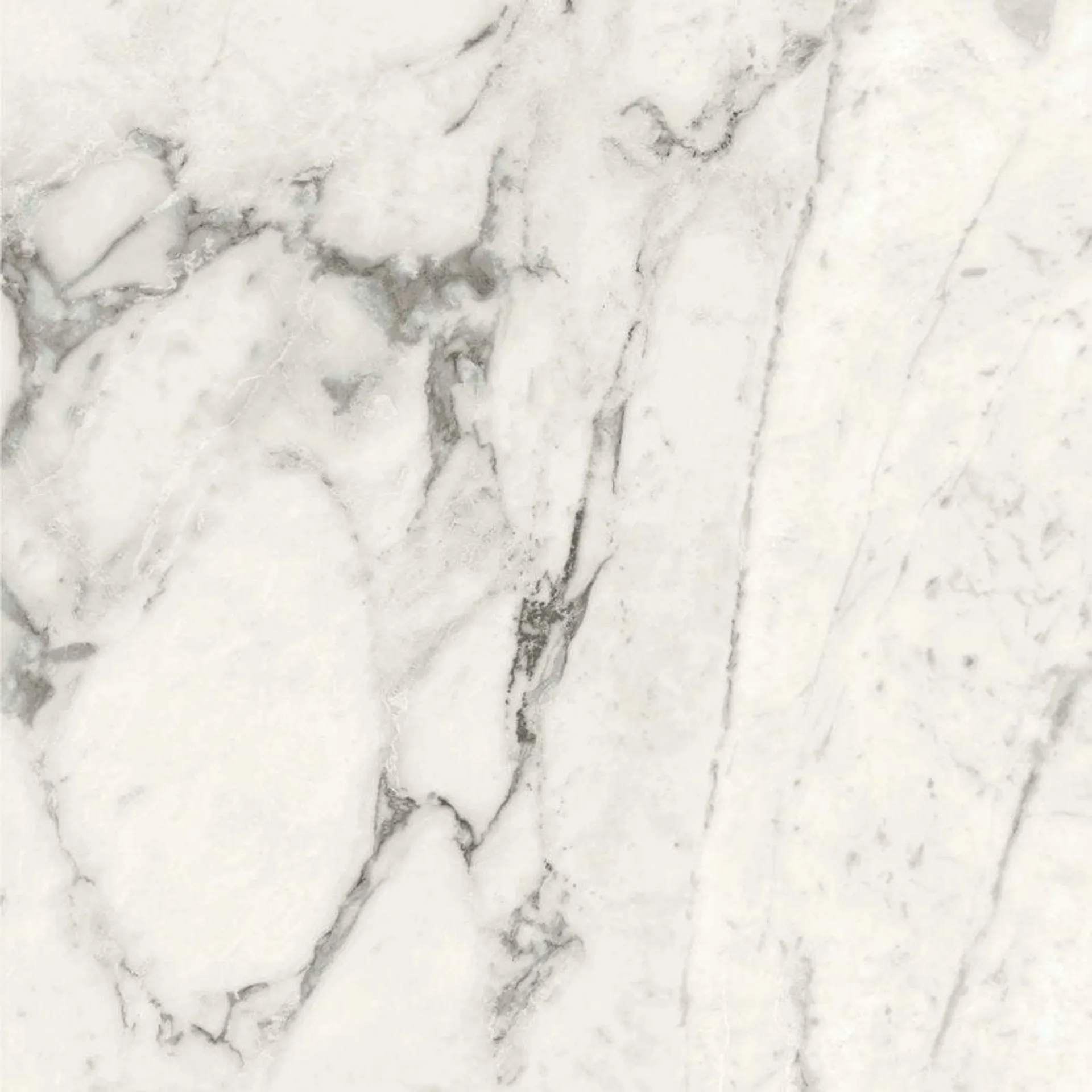 Allmarble Calacatta Extra 60x60cm