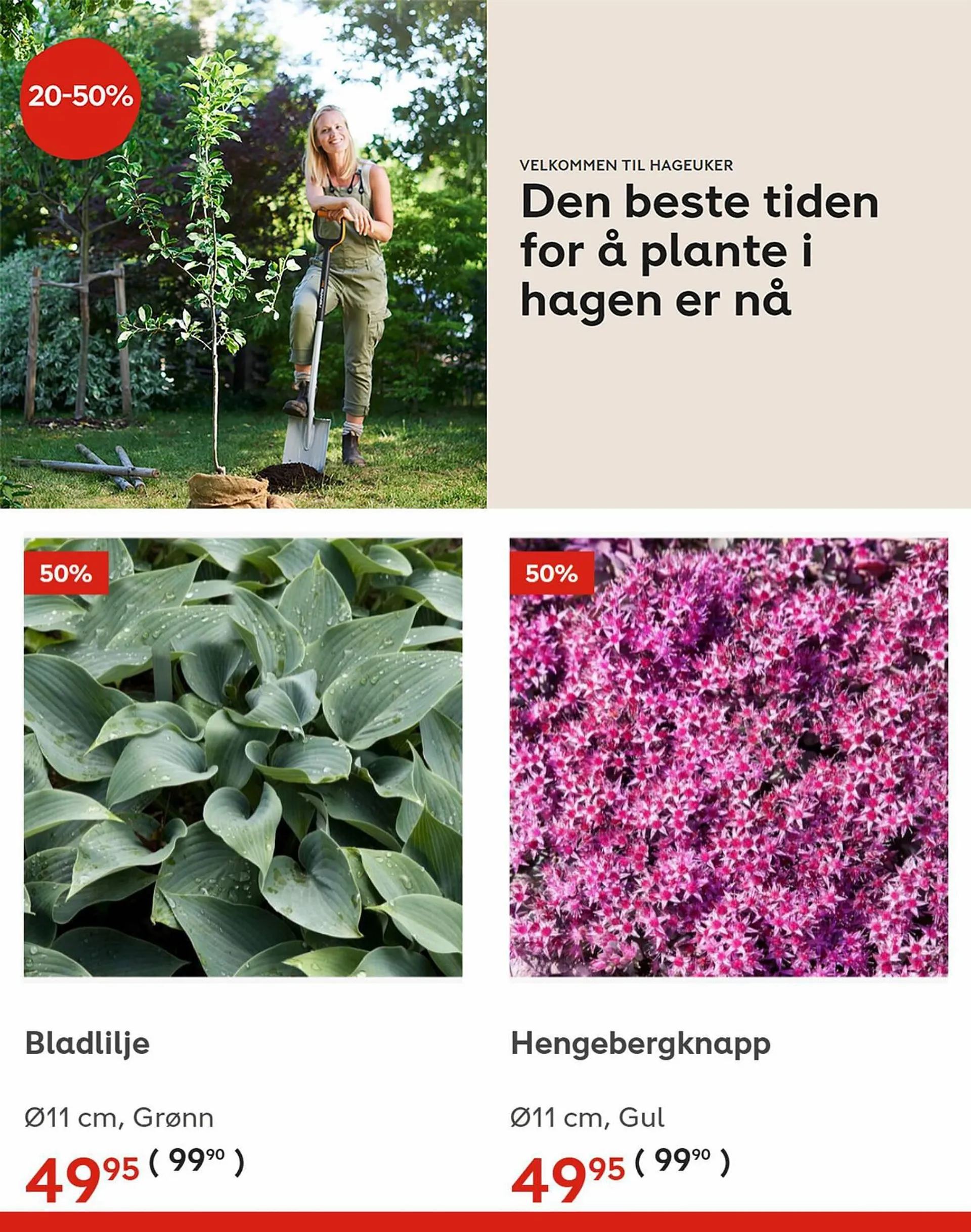 Plantasjen Kundeavis fra 31. august til 13. september 2023 - kundeavisside 5