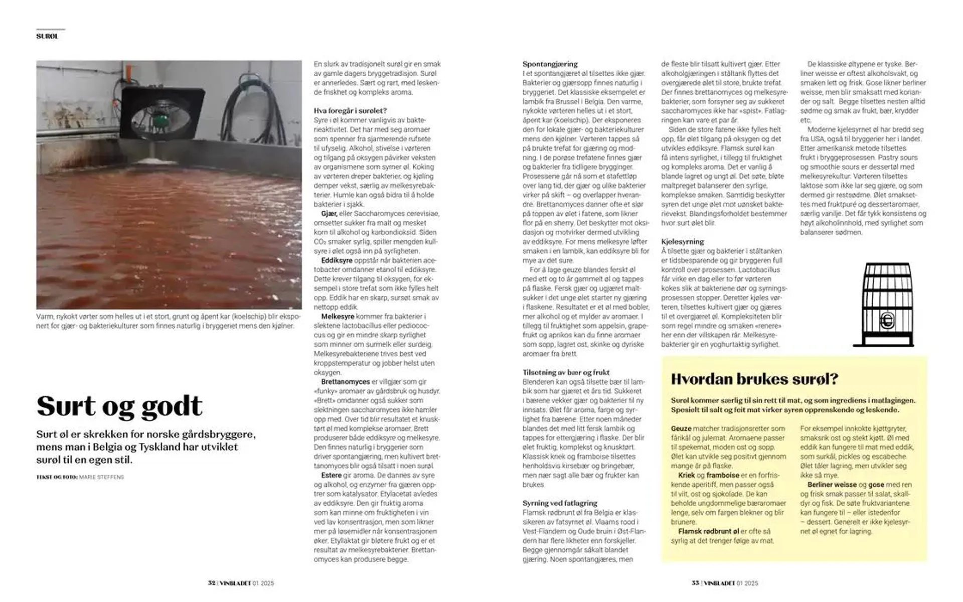 Argang fra 6. mars til 6. april 2025 - kundeavisside 17