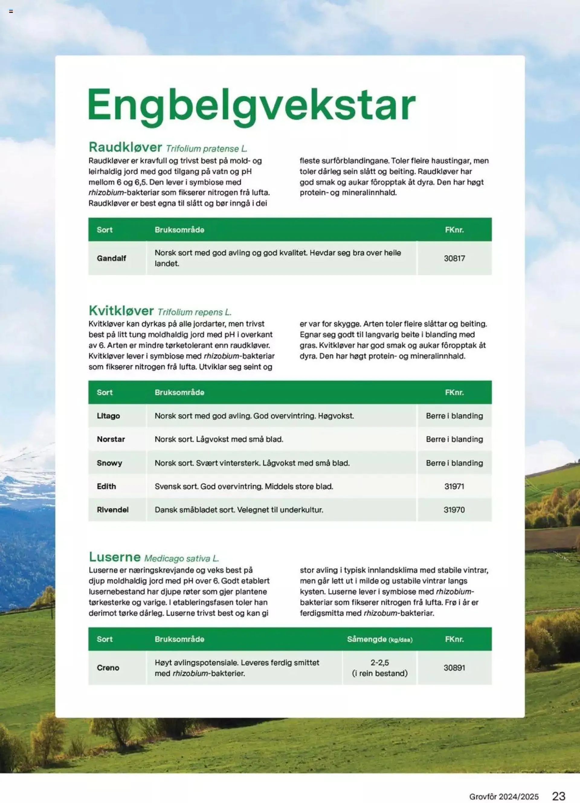 Felleskjøpet - Grovfôr fra 1. januar til 31. desember 2025 - kundeavisside 23