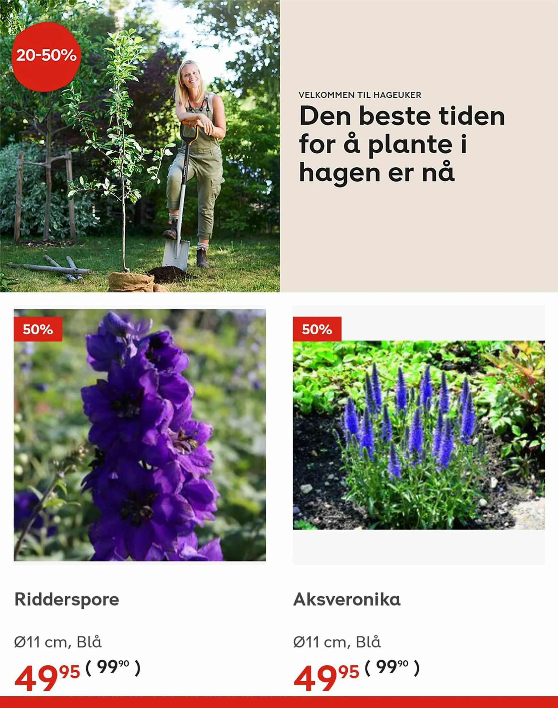 Plantasjen Kundeavis fra 31. august til 13. september 2023 - kundeavisside 2