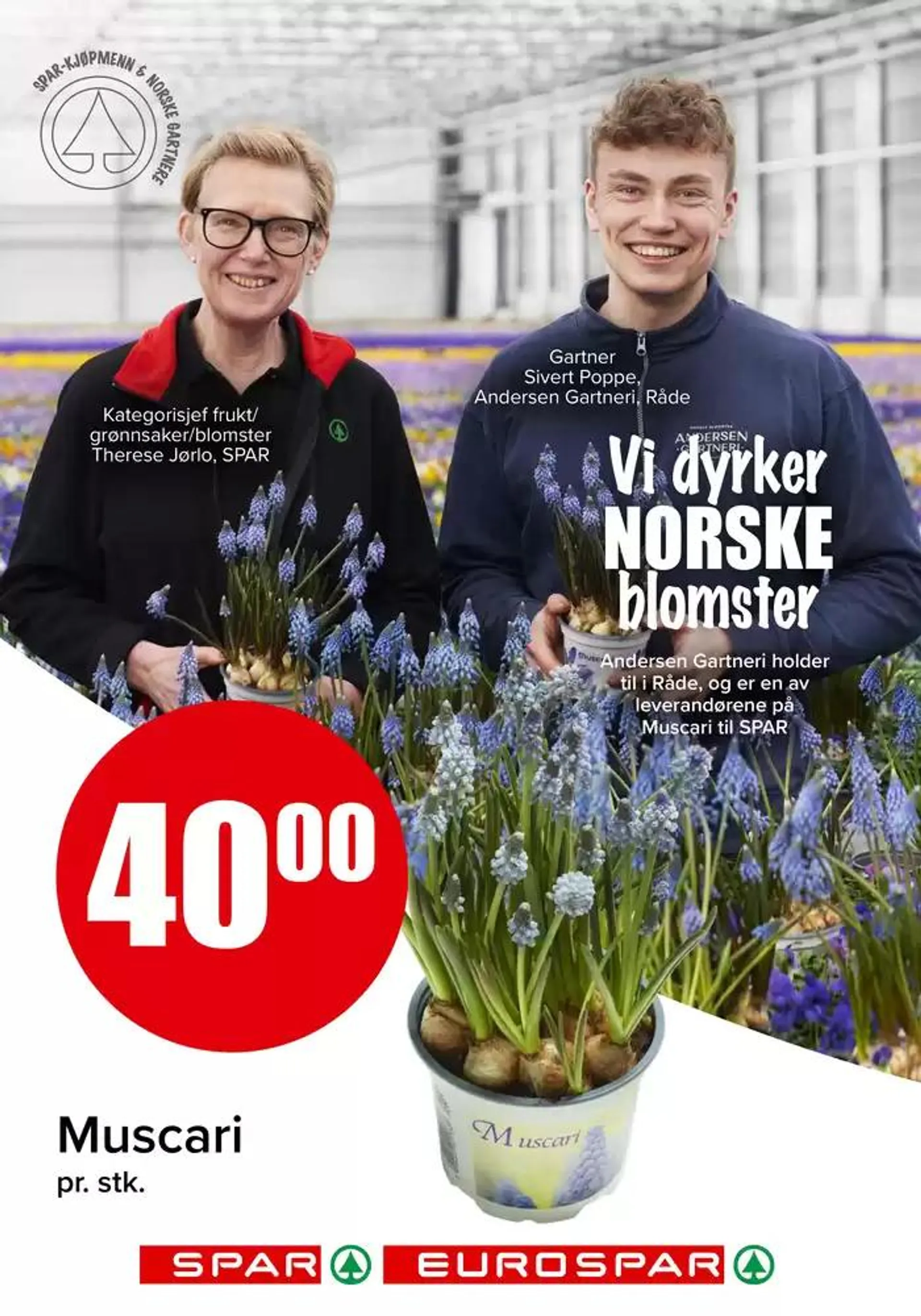 Våre beste tilbud for deg fra 9. oktober til 11. oktober 2025 - kundeavisside 14