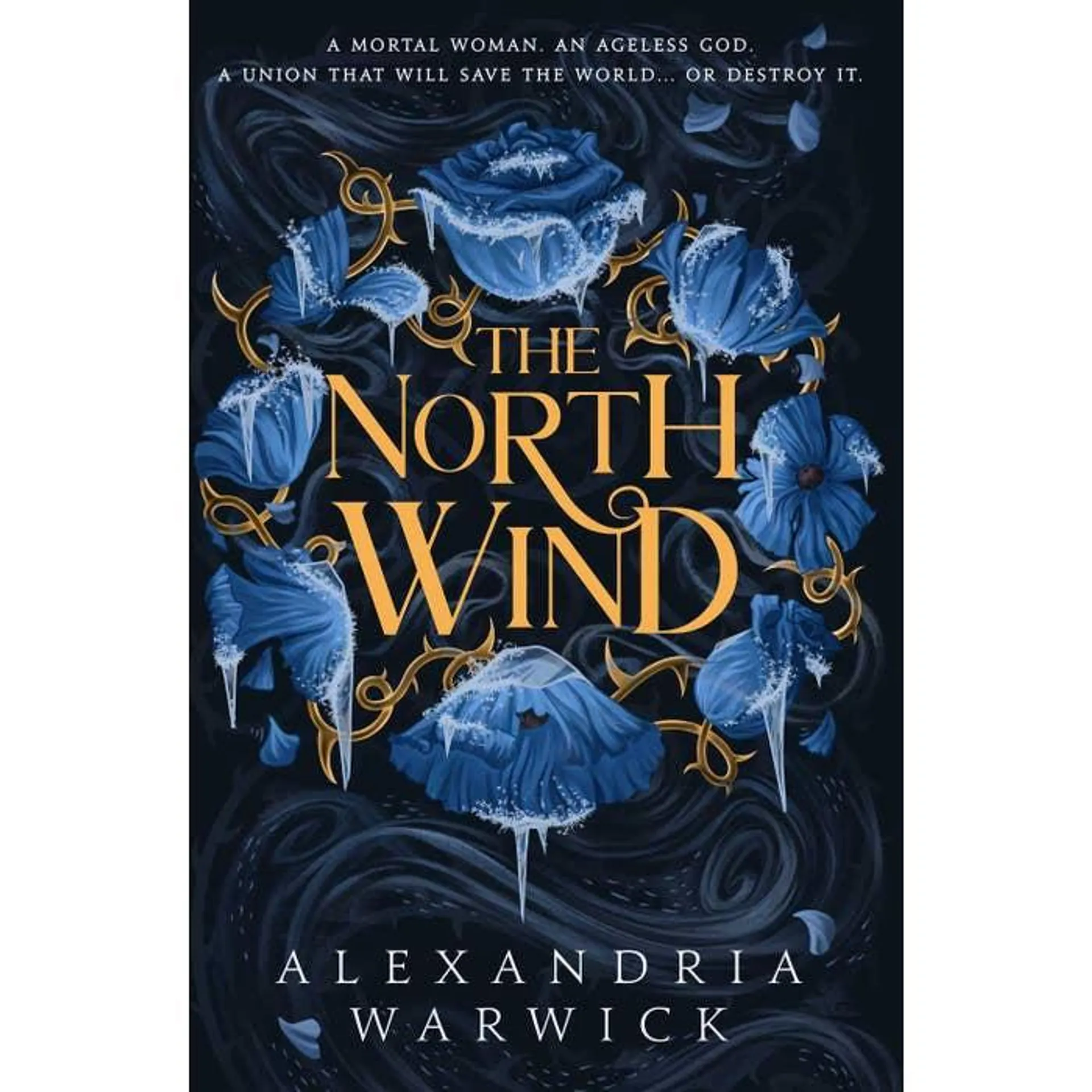 The North Wind: The TikTok sensation! An enthralling enemies-to-lovers romantasy, the first in the Four Winds series