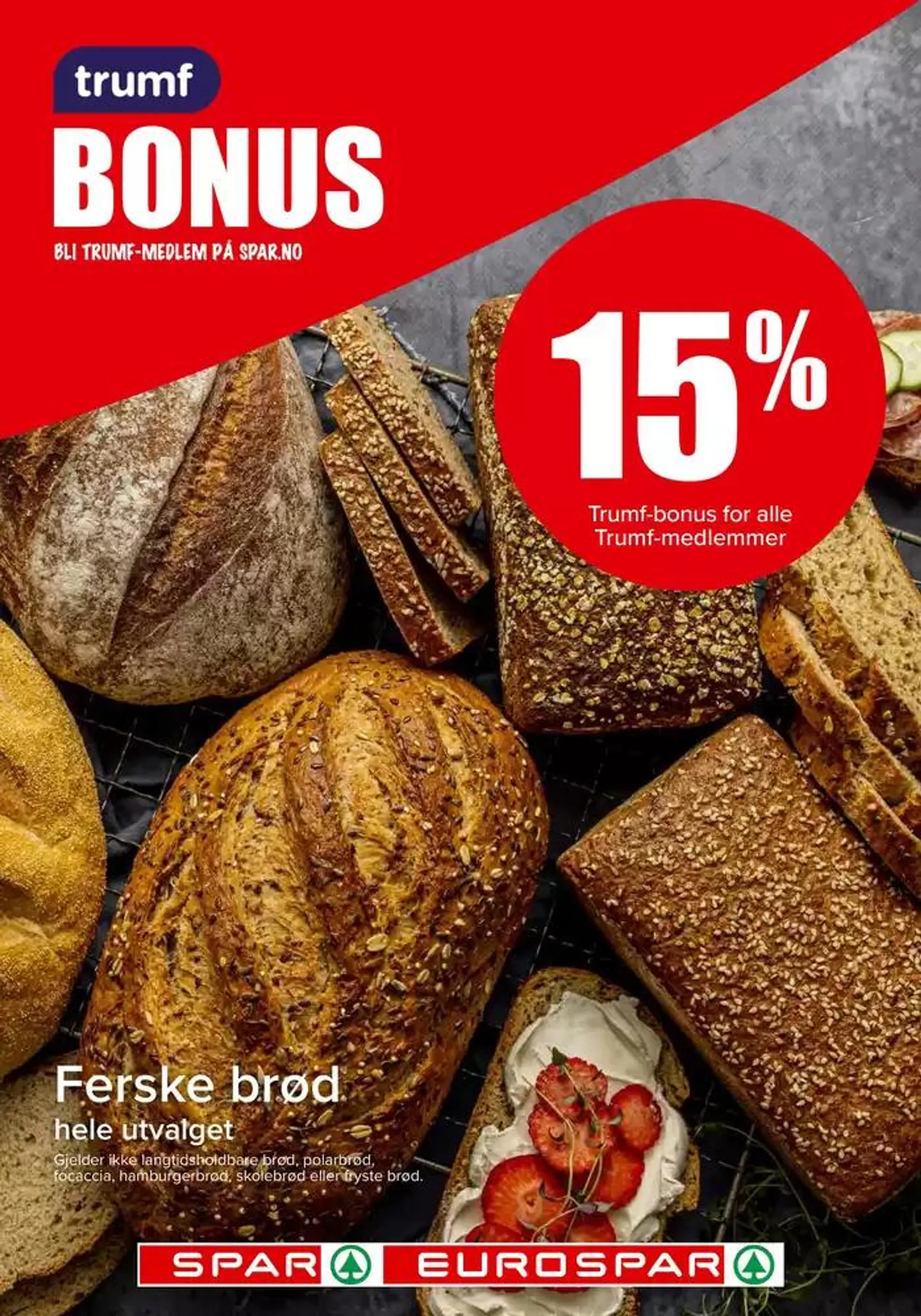 Spar Kundeavis fra 27. oktober til 10. november 2024 - kundeavisside 13