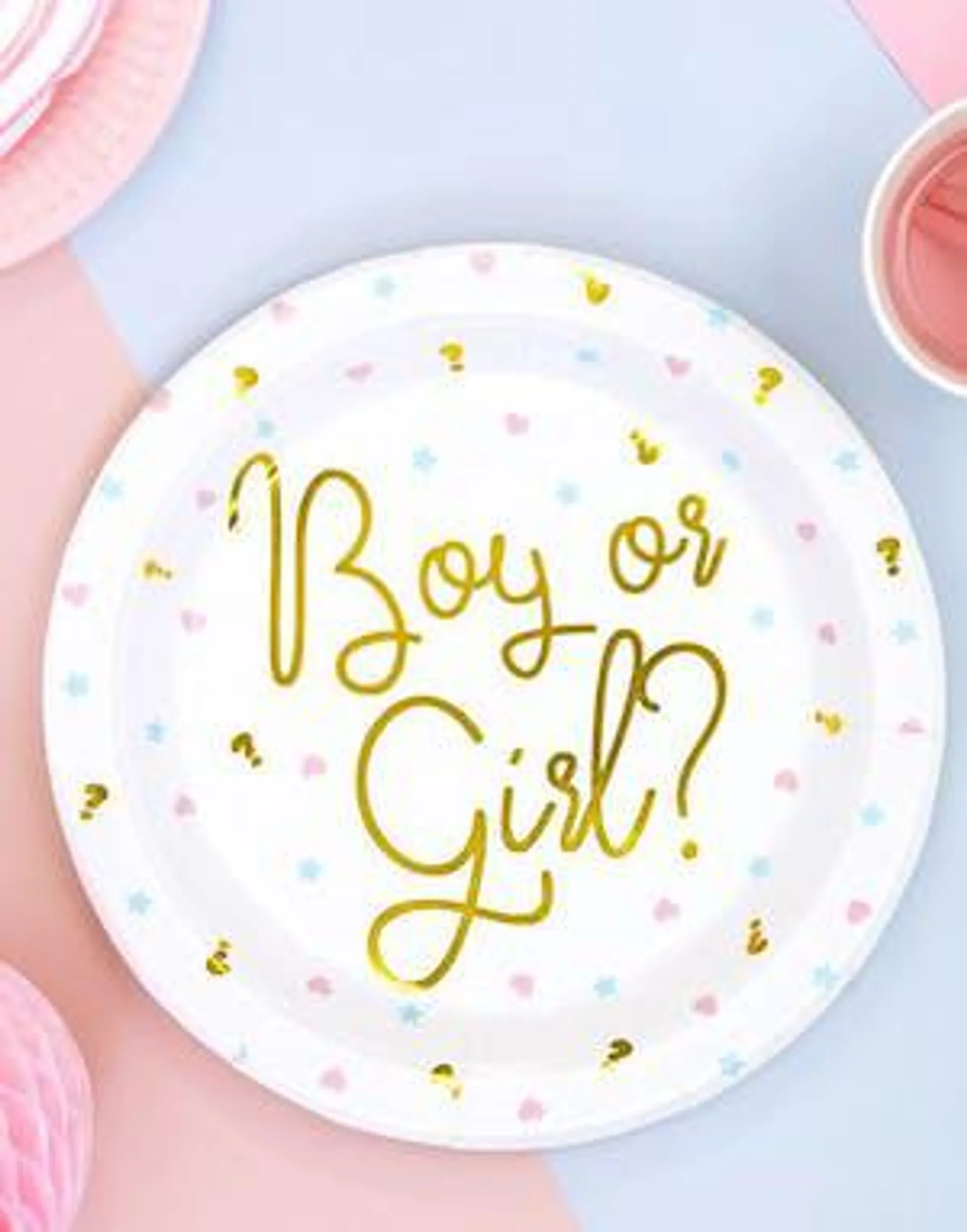 6 stk 23 cm Boy or Girl Papptallerkener