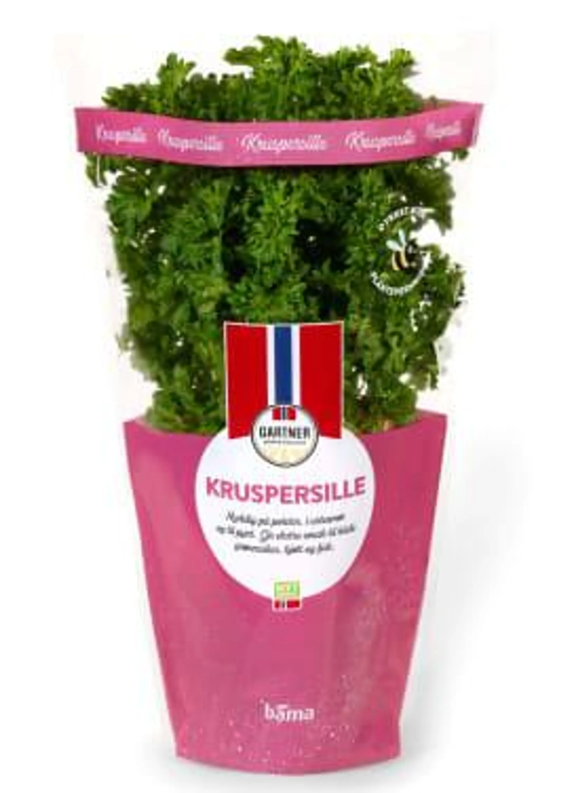 Kruspersille