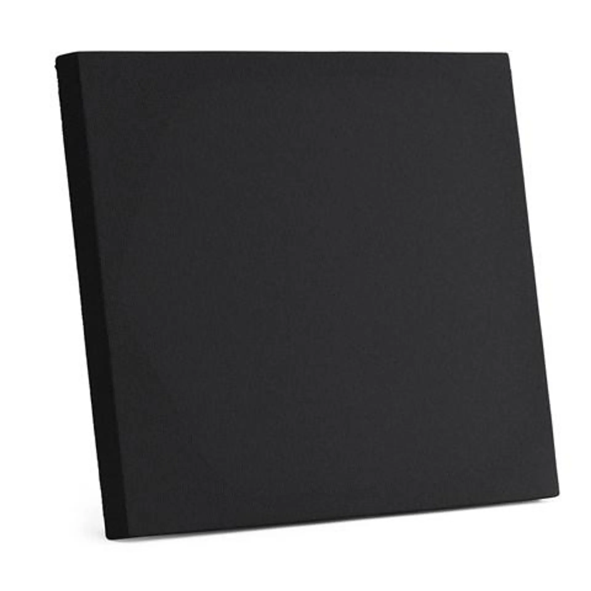 Speaker Frame 1215
