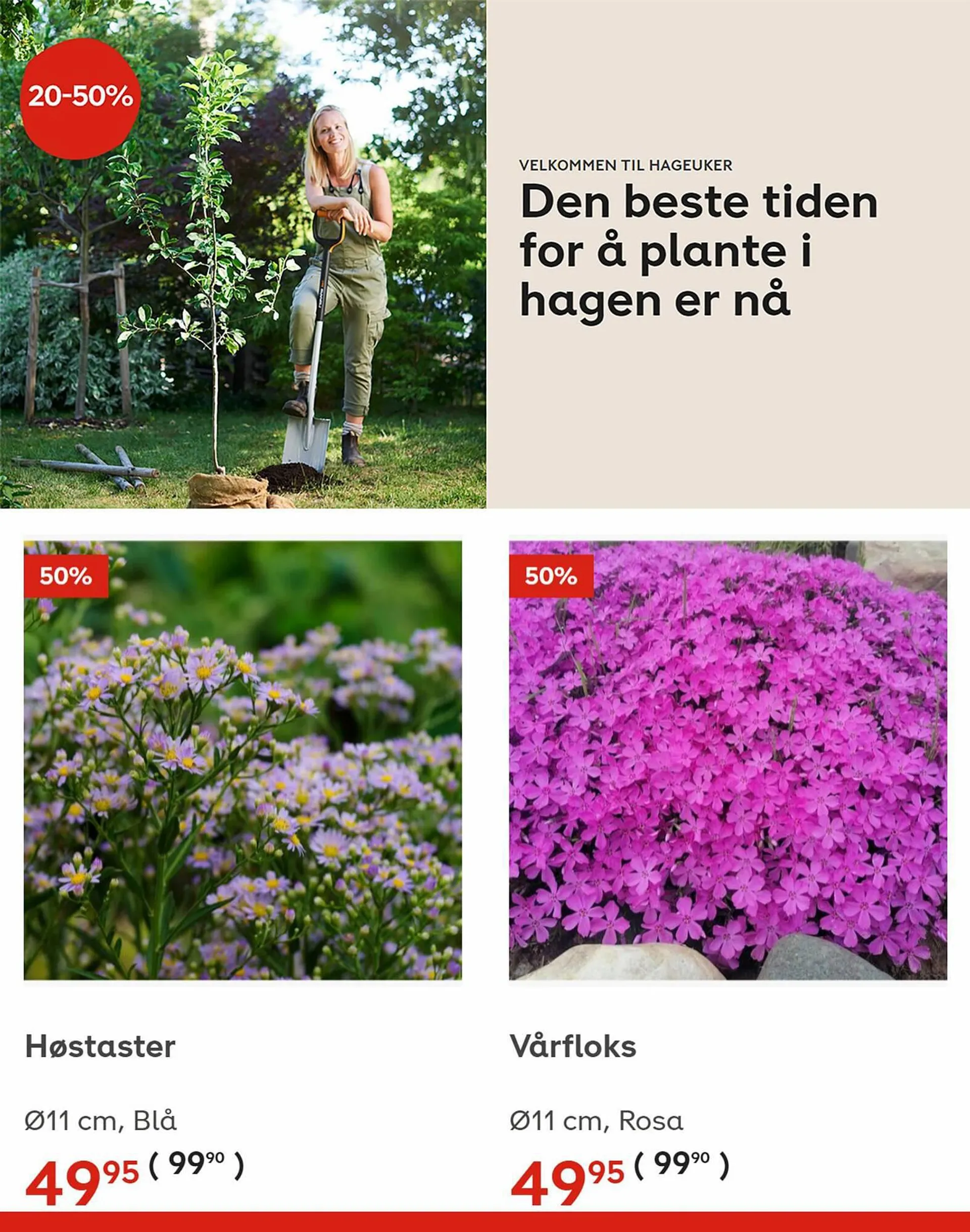 Plantasjen Kundeavis fra 31. august til 13. september 2023 - kundeavisside 3