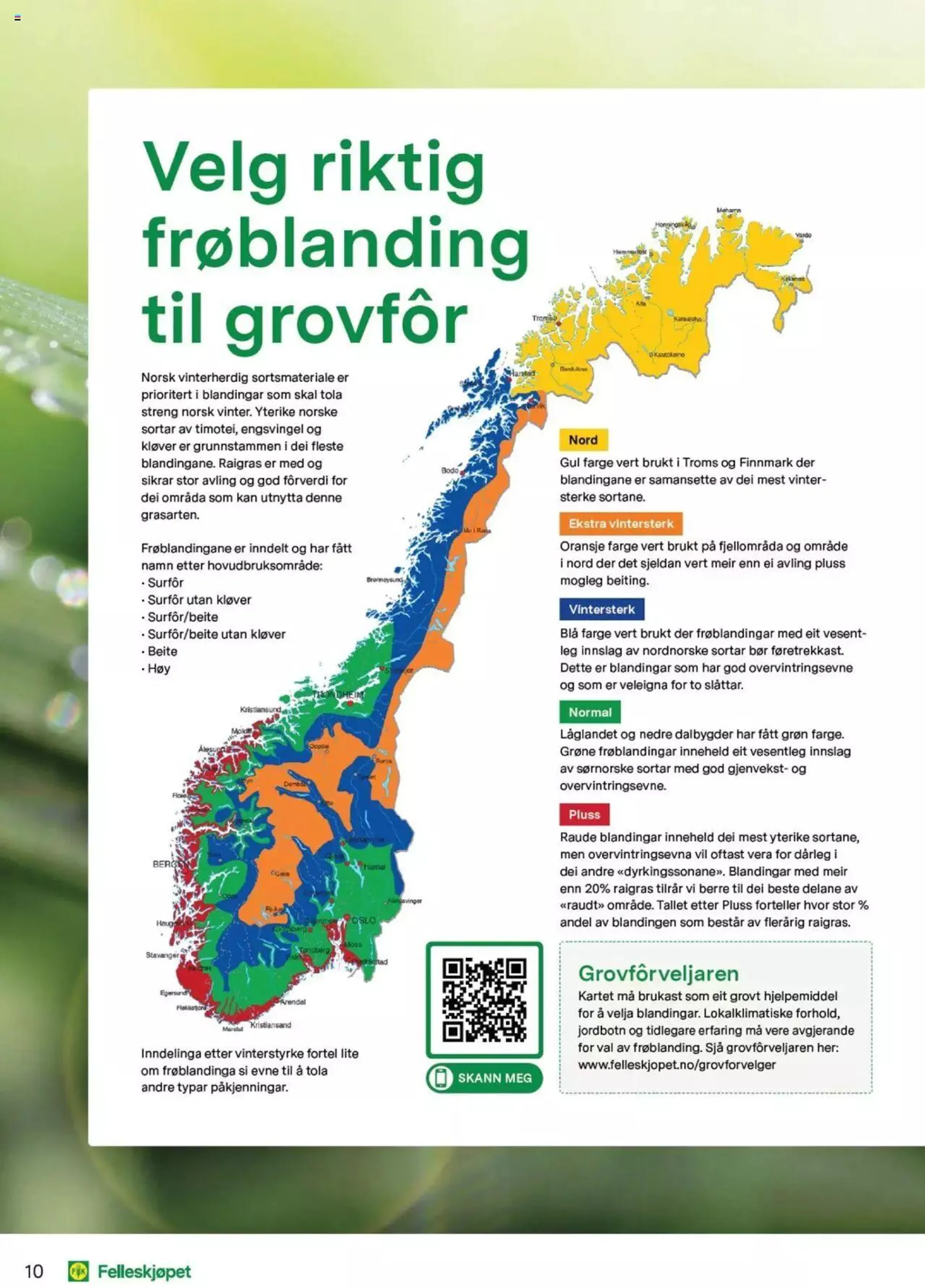 Felleskjøpet - Grovfôr fra 1. januar til 31. desember 2025 - kundeavisside 10