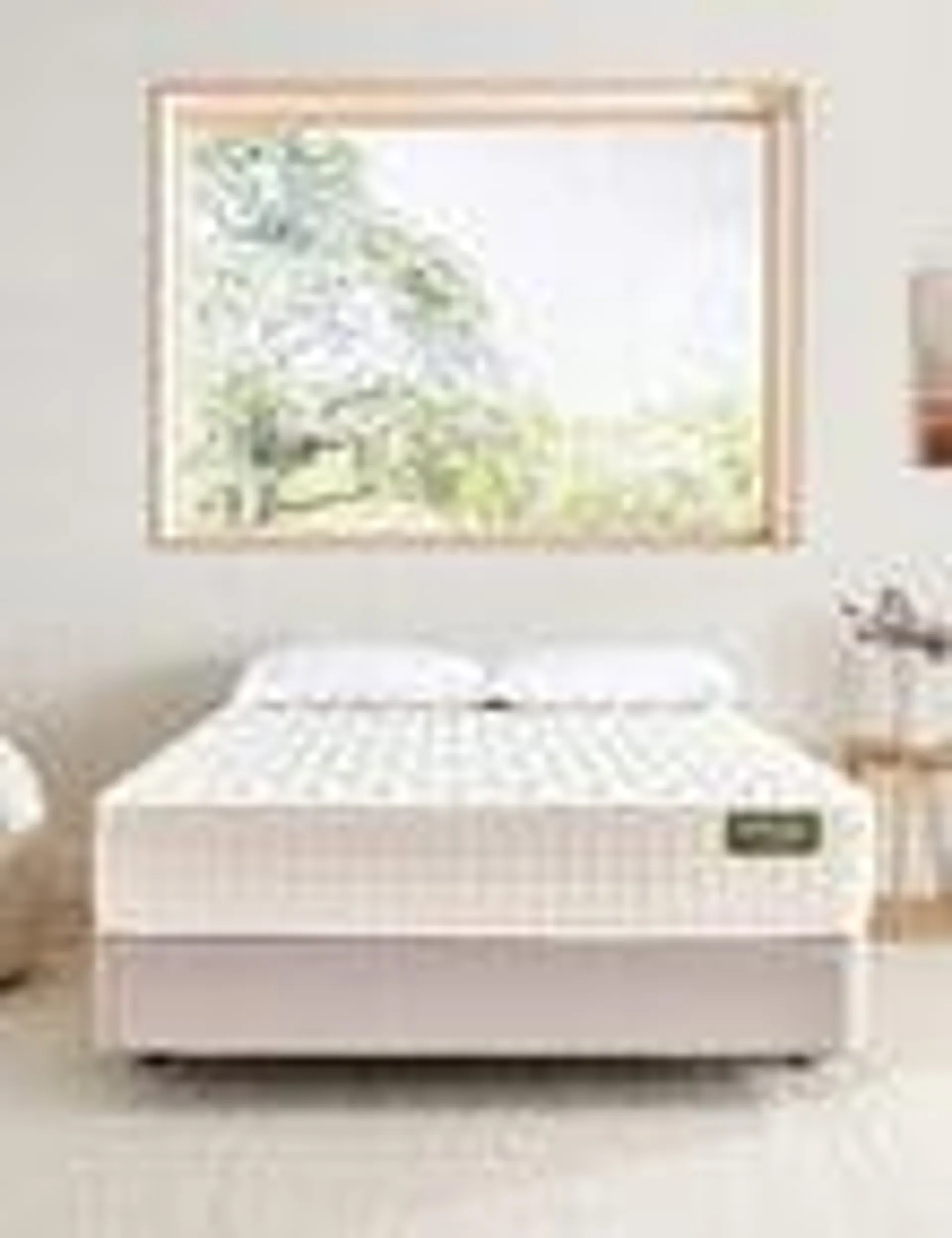 Naturesleep Firm Feel Bedset, Queen