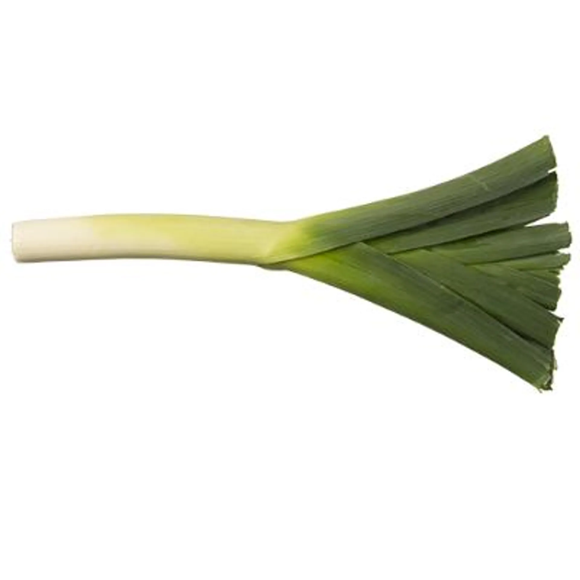 Leeks ea