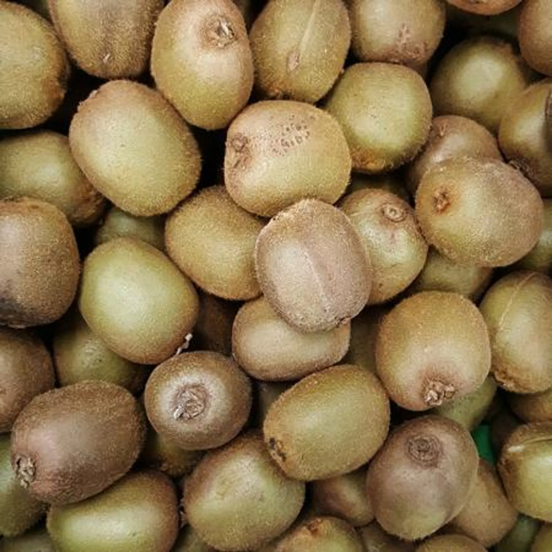 Green Kiwifruit