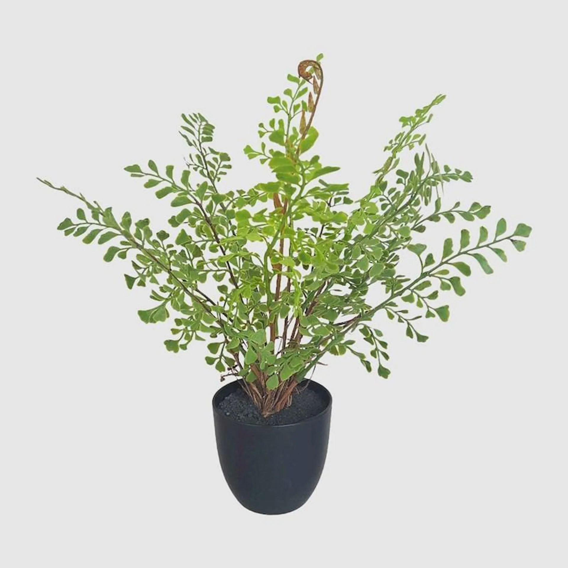 Artificial Plant Maiden Hair Fern in Pot