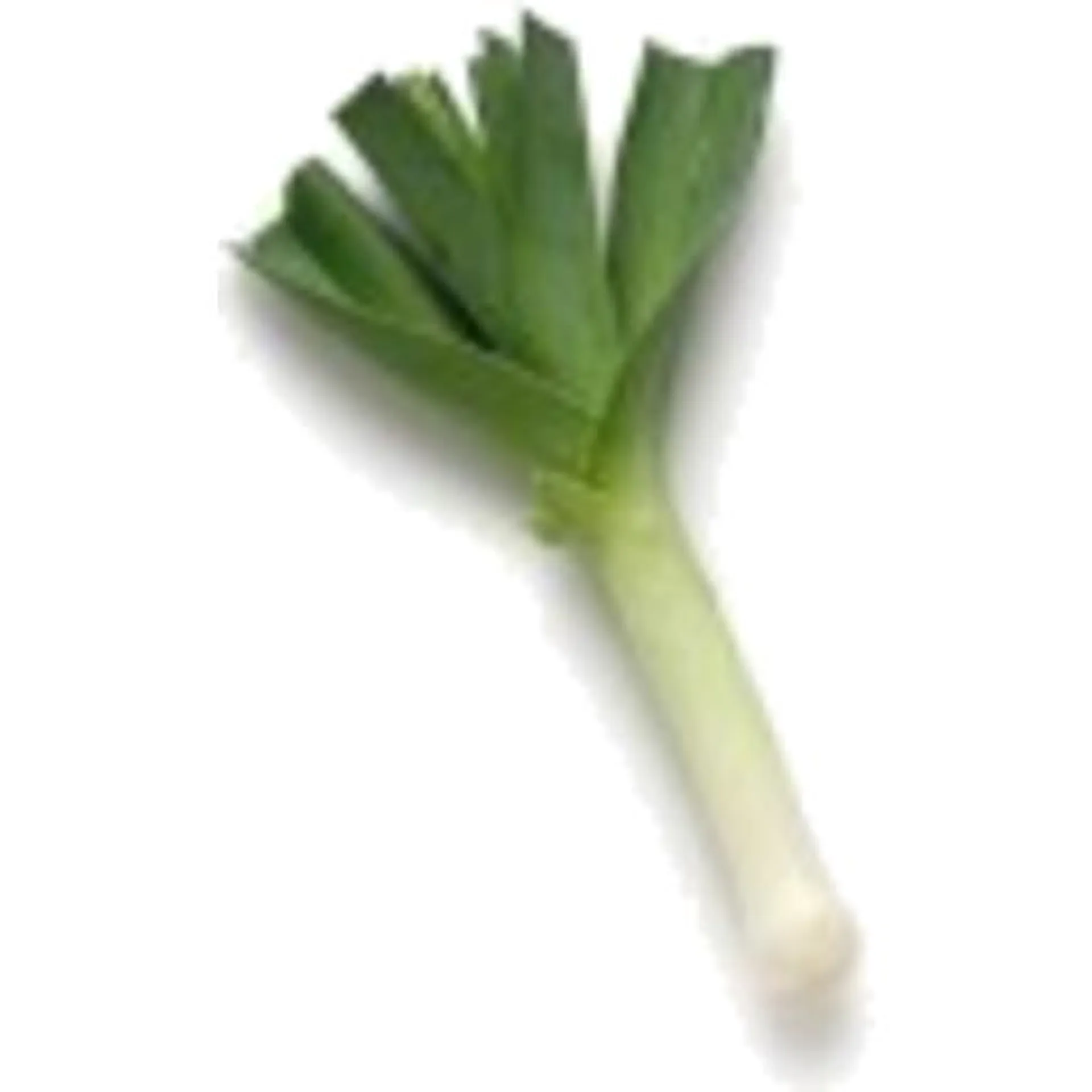 Leeks