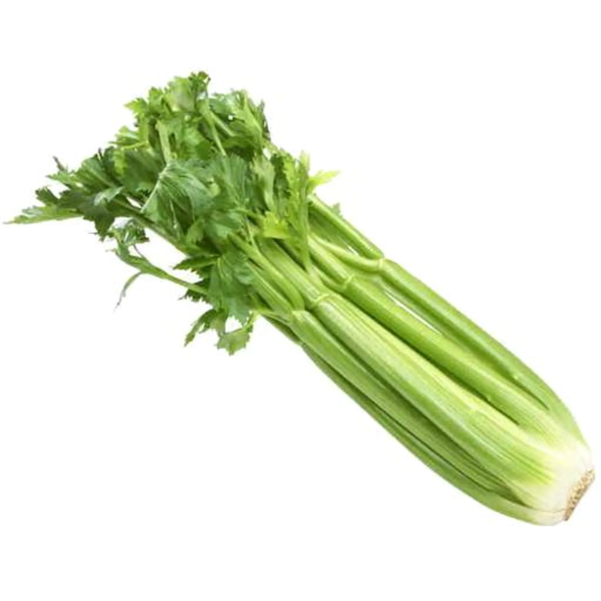 Celery