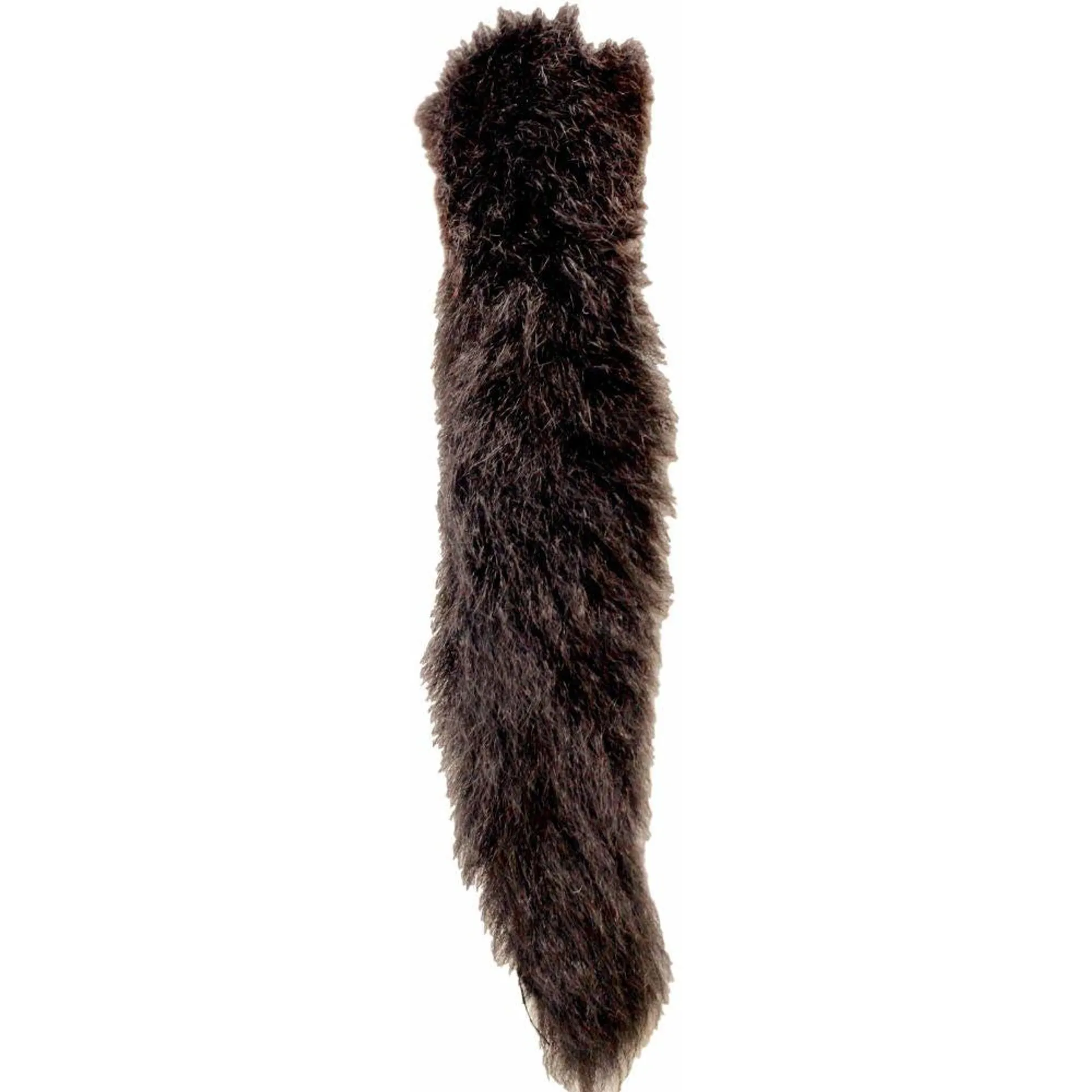 Possum Tail