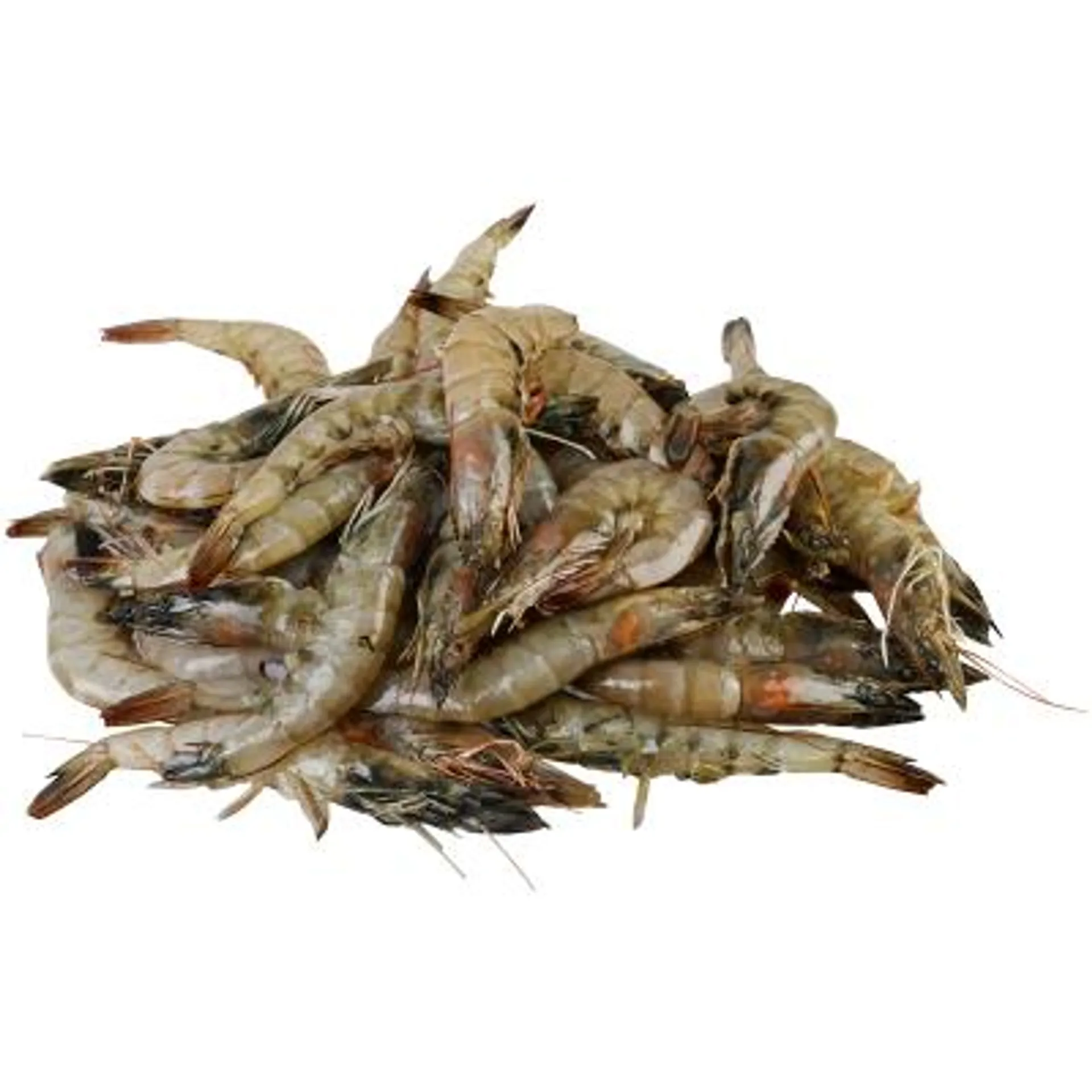 Vannamei Whole Raw Prawns (Prefrozen)