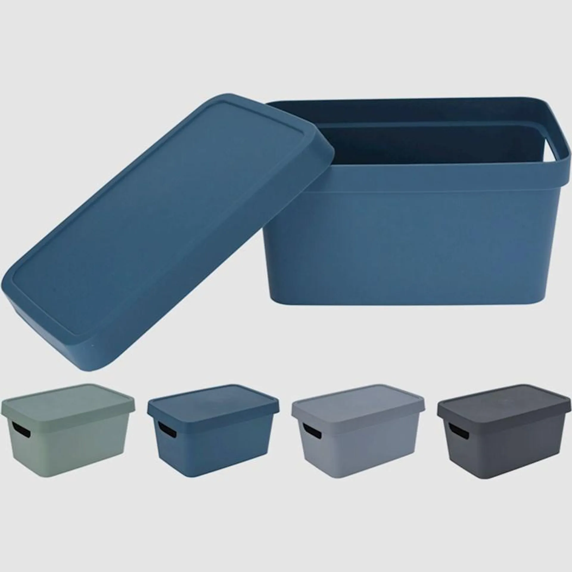 Storage Solutions Luna Storage Box 3.6L Assorted