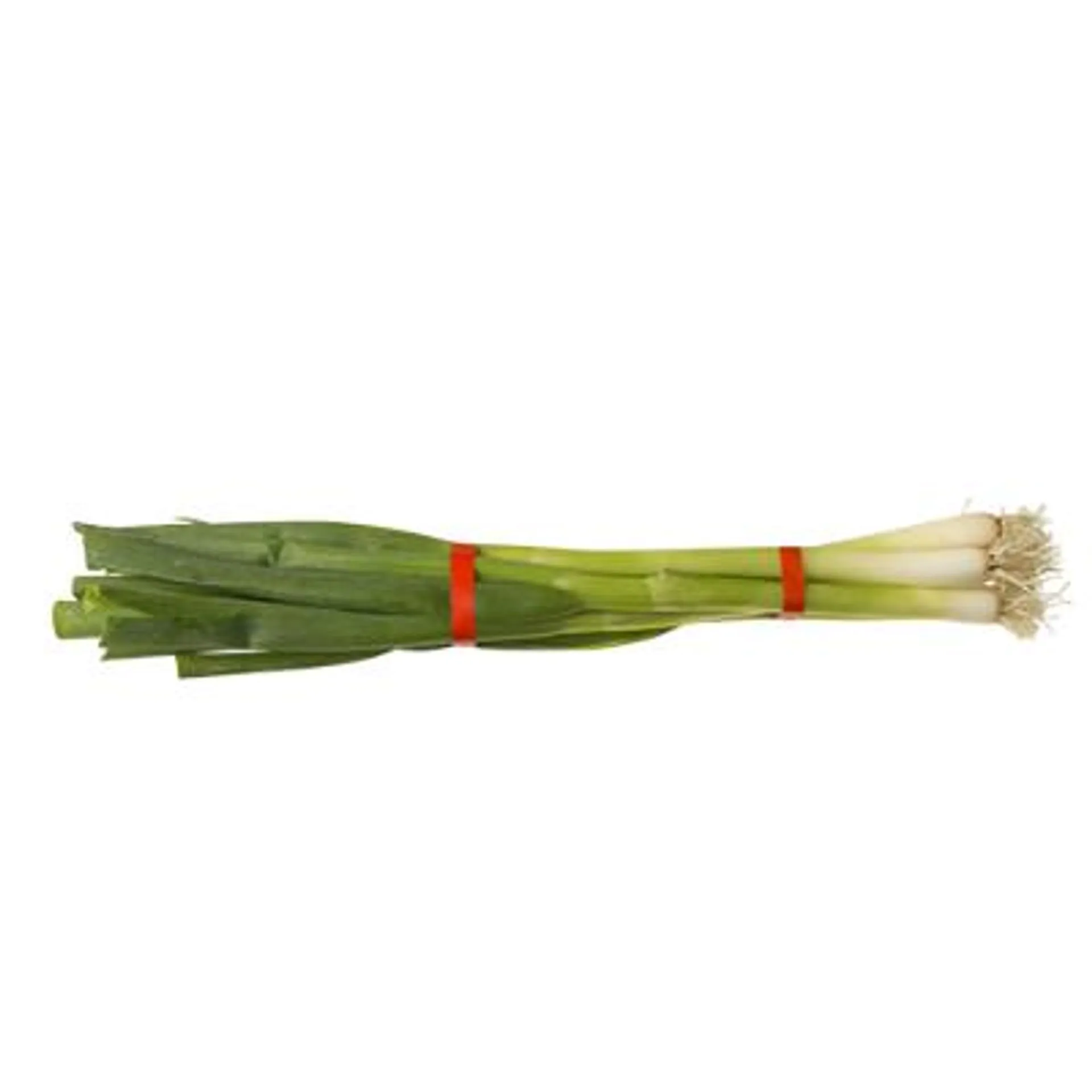 Spring Onions ea