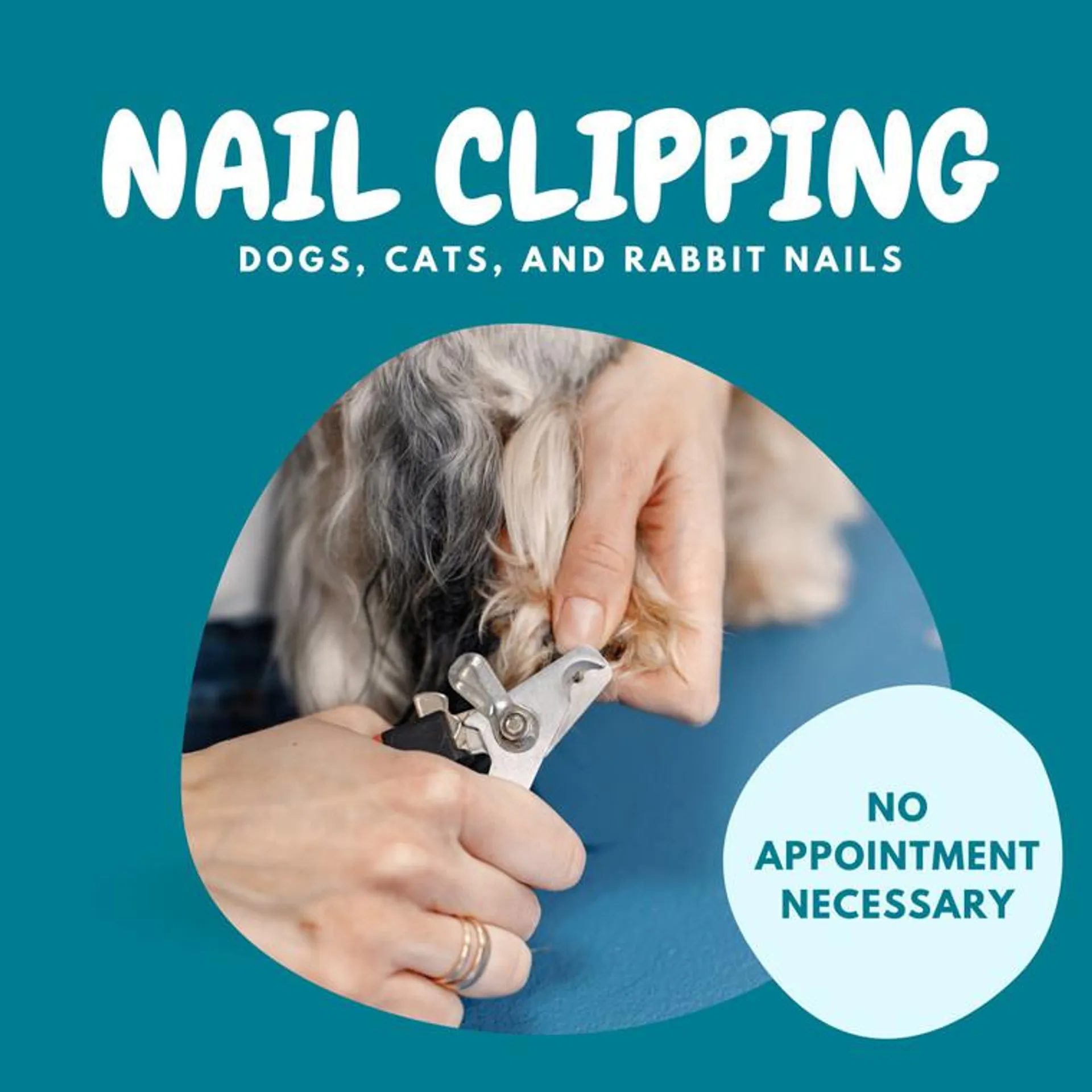 Nail Clipping Service