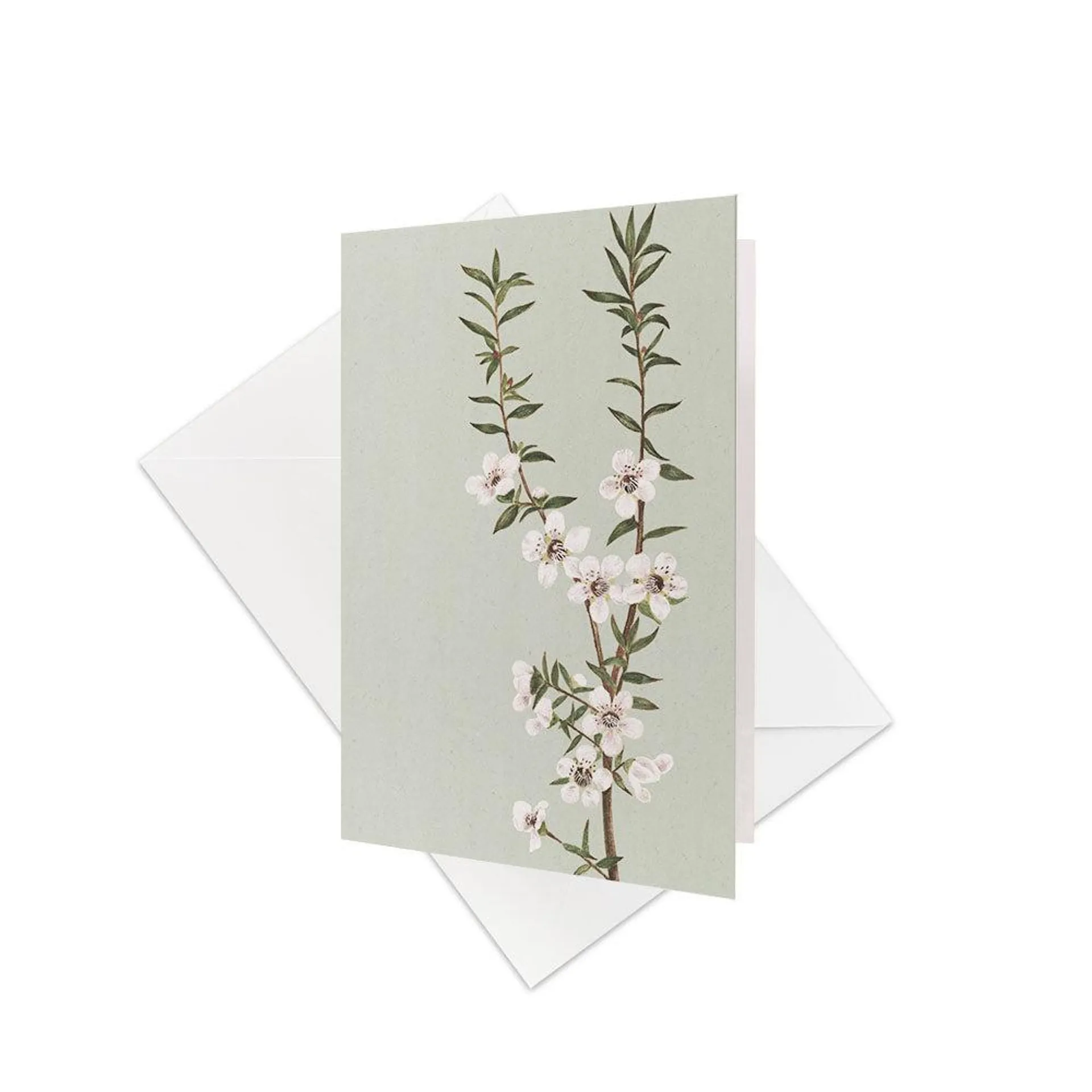Vintage Botanical Manuka Gift Card & Envelope (6 Pack)
