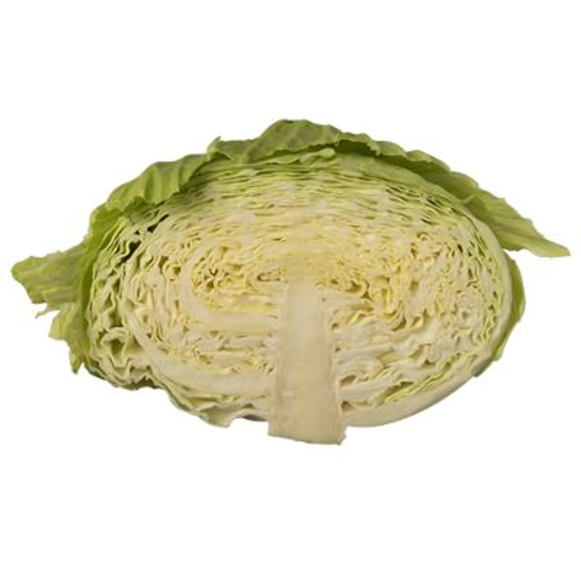 Green Cabbage Half