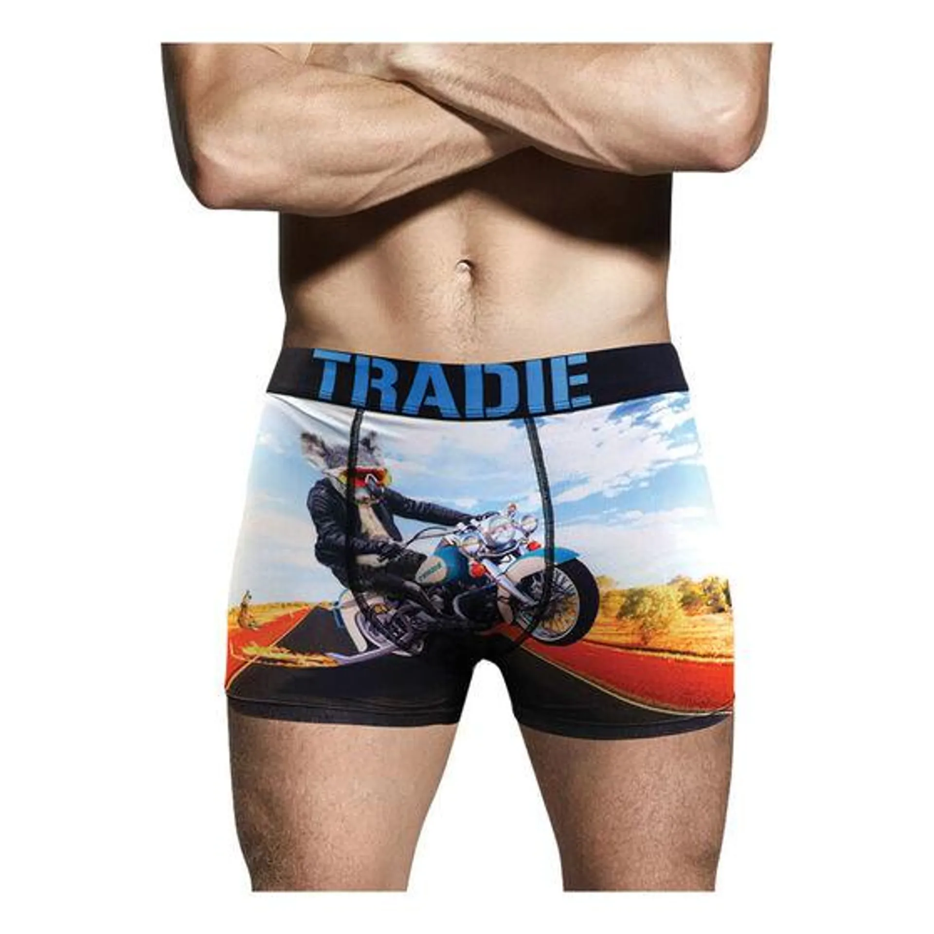 Tradie Mens Jacked Up Koala Trunks