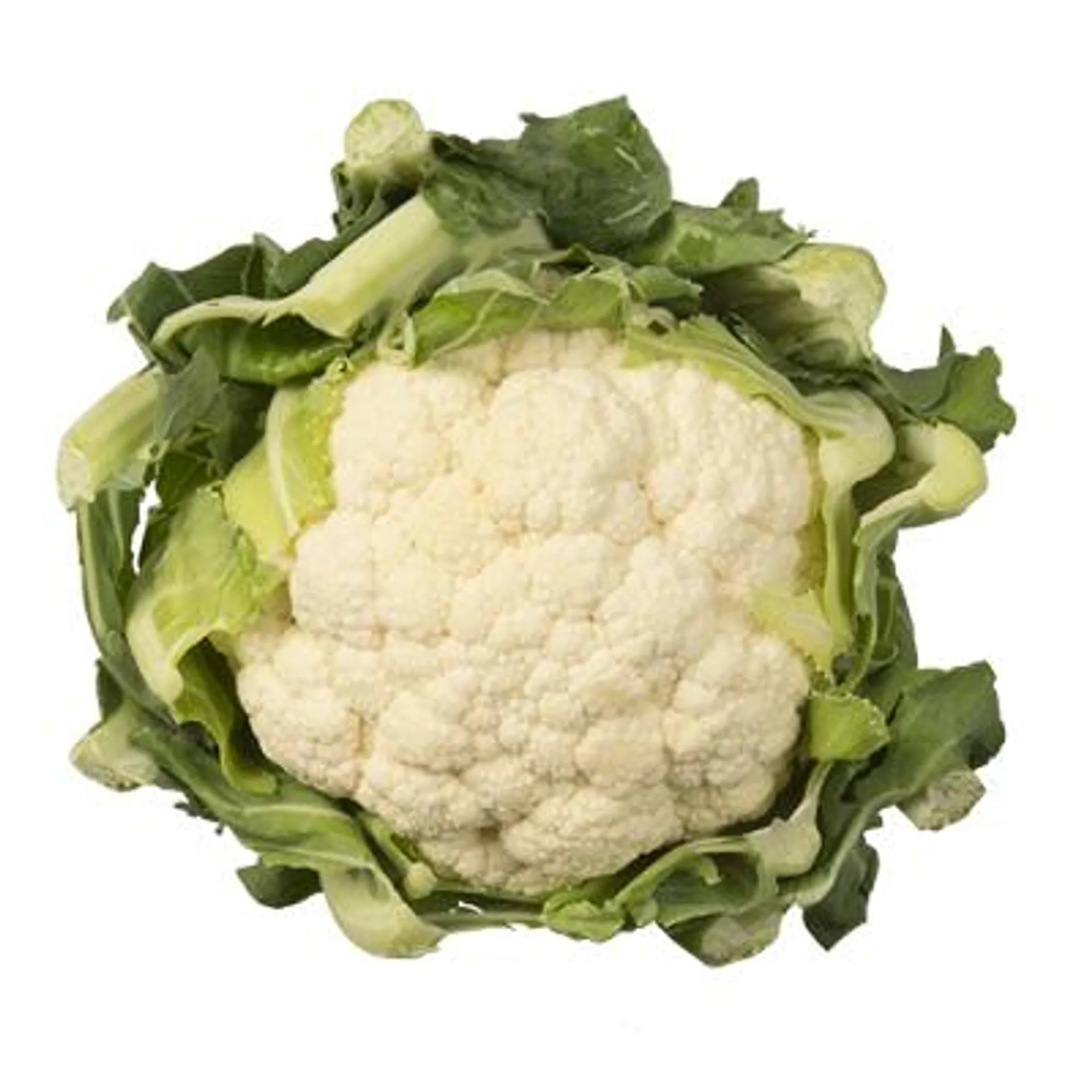 Cauliflower ea