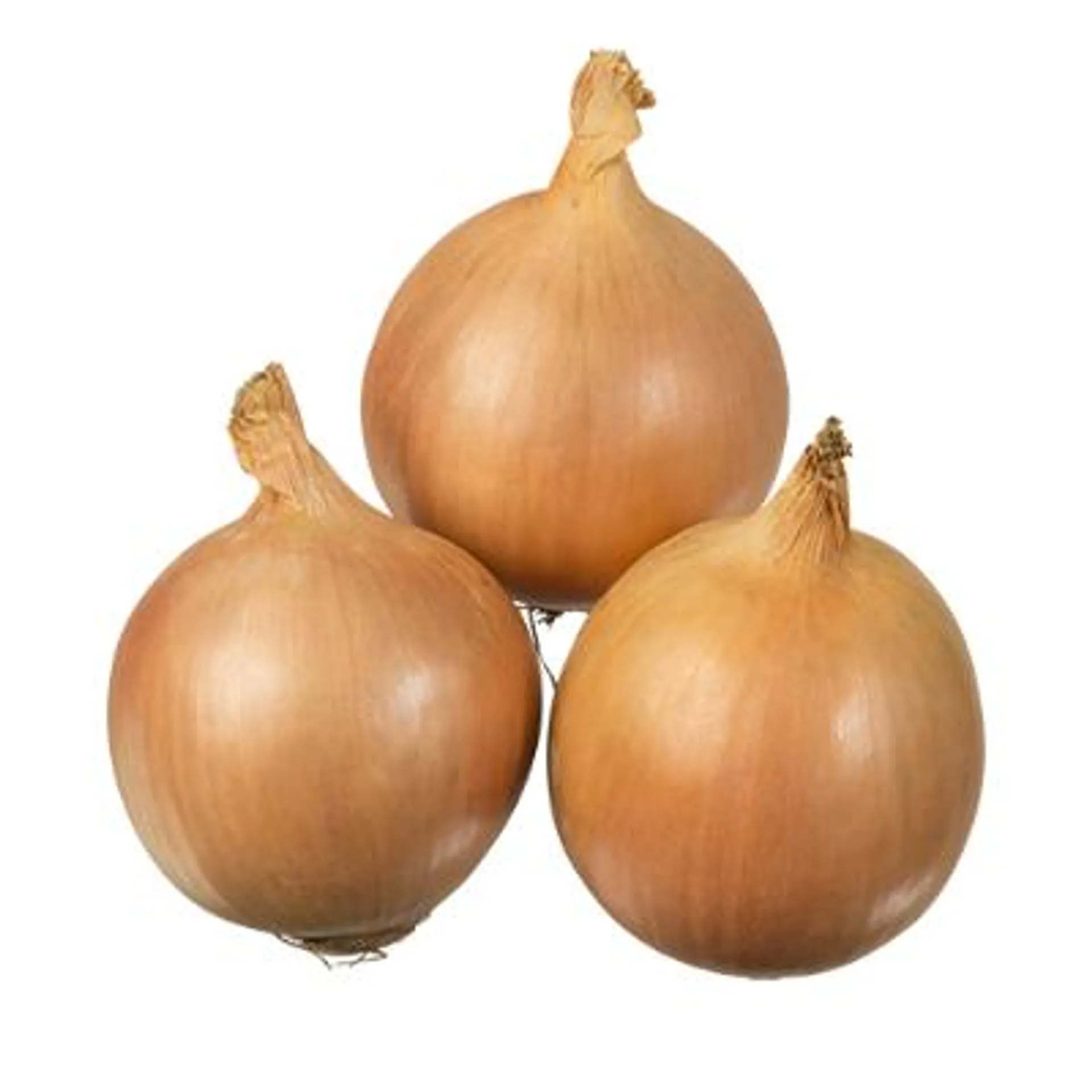 Brown Onions kg