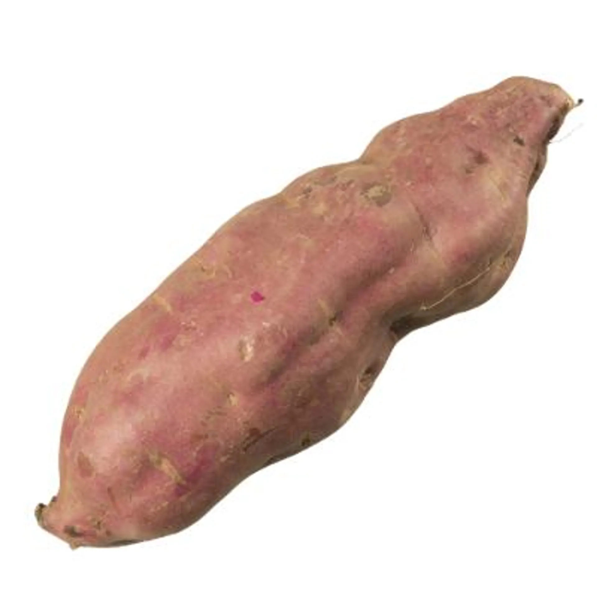 Red Kumara