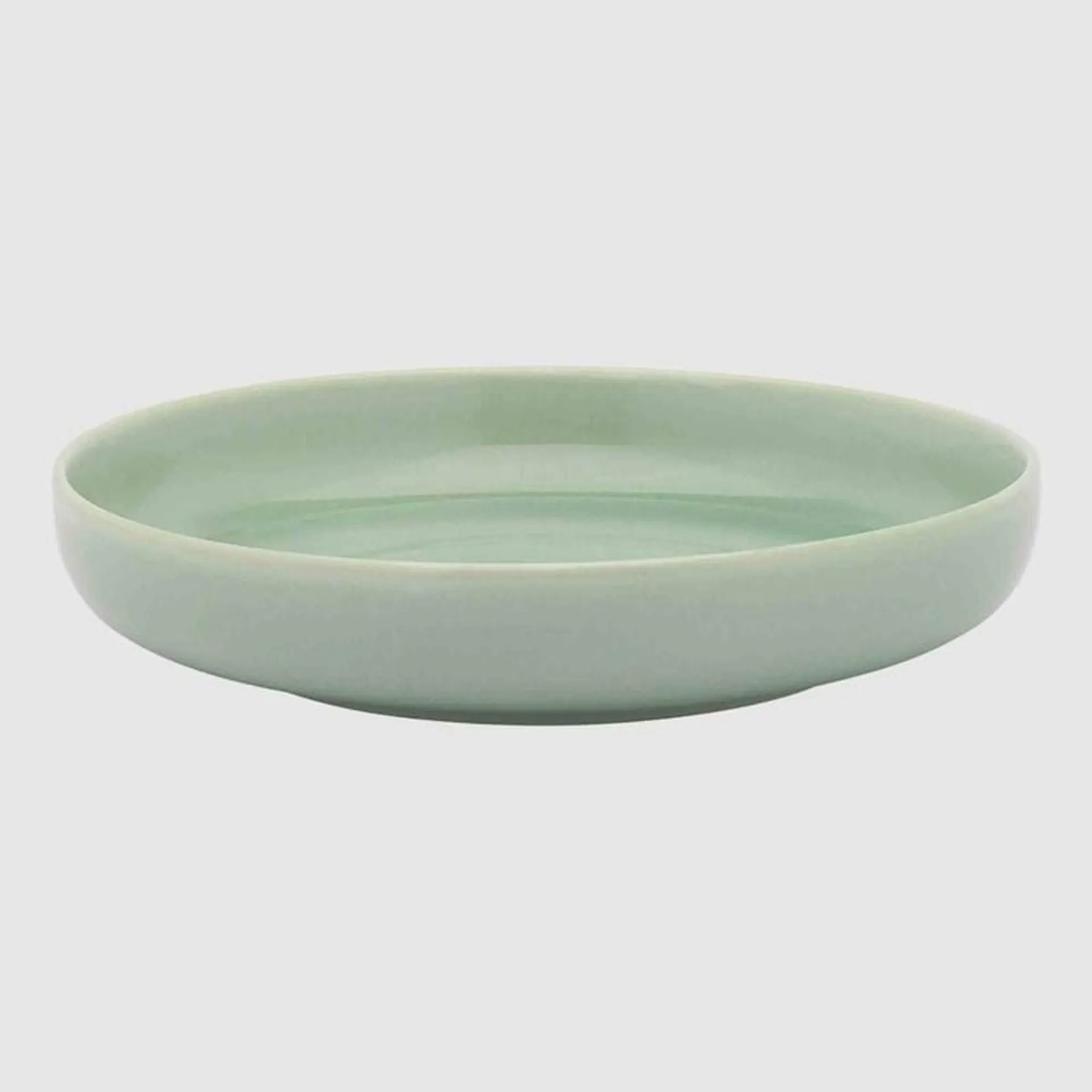 Ecology Element Dinner Bowl 22cm Dew