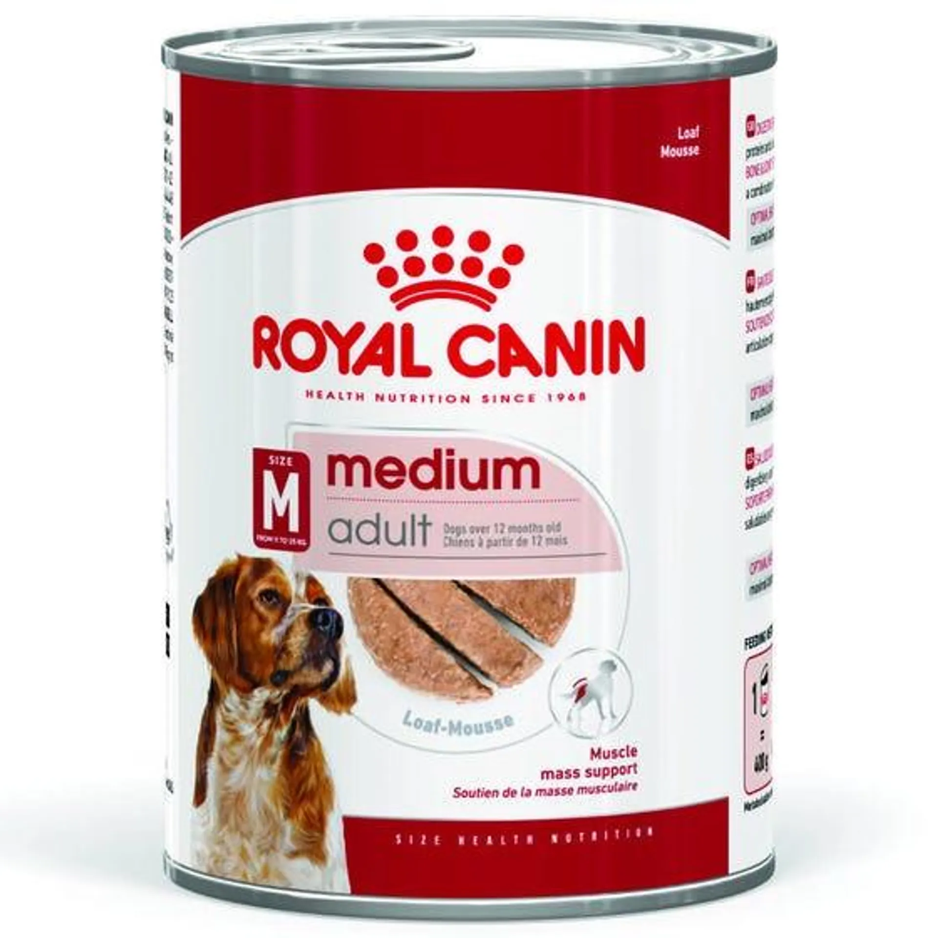 Royal Canin Dog Medium Adult Mousse 410g