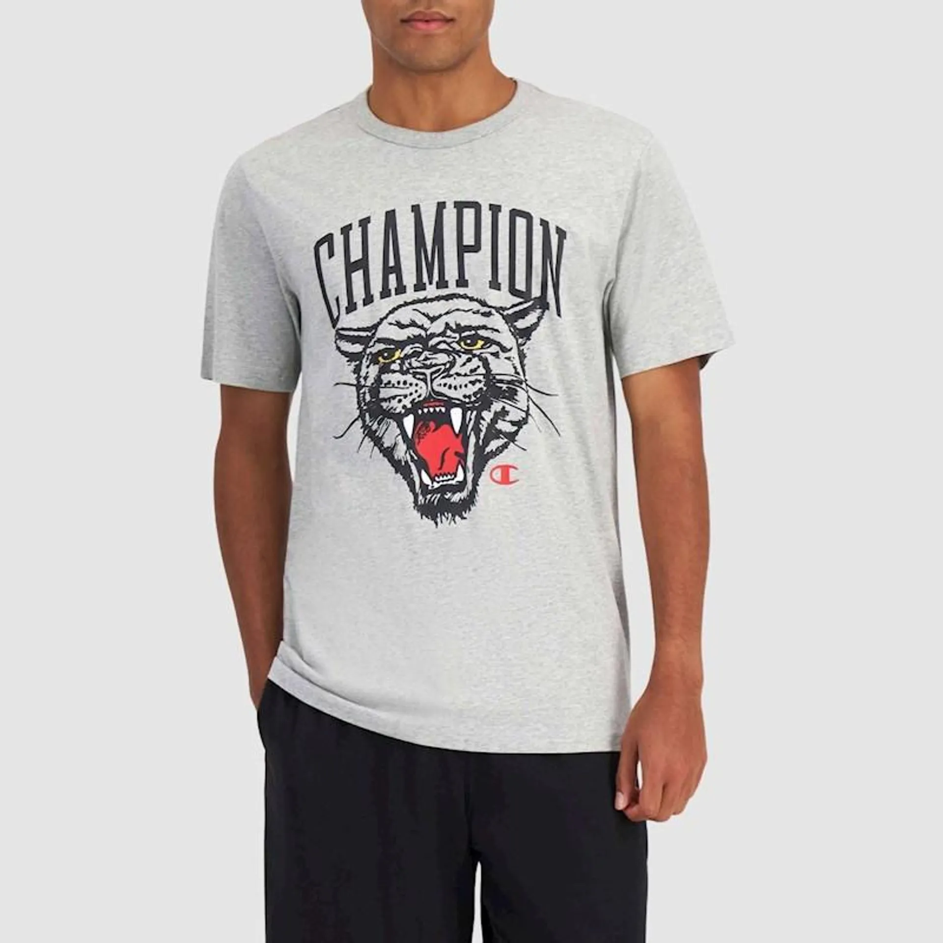 Champion Mens Graphic Tshirt